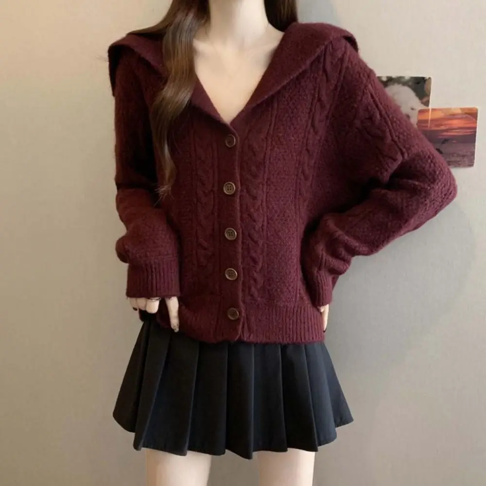 Flip Collar Grid Crochet Sweater Long Sleeve Loose Fried Dough Twists Cardigan Autumn Spring Preppy Style Cardigans Women Y2K
Flip Collar Grid Crochet Sweater Long Sleeve Loose Fried Dough Twists Cardigan Autumn Spring Preppy Style Cardigans Women Y2K