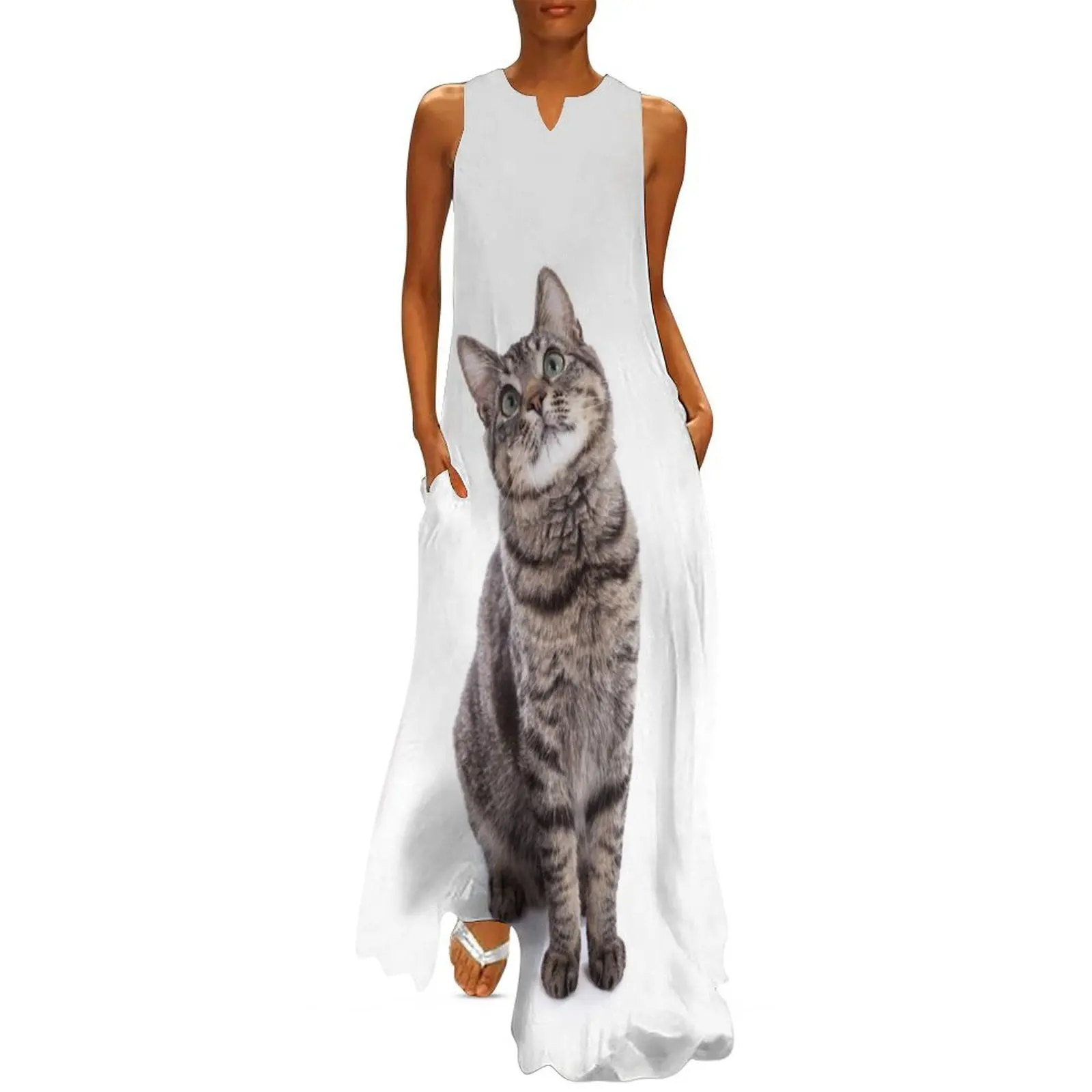 Tabby Cat Long Dress Dresses summer dress woman 2025 luxury evening dress woman for wedding
Tabby Cat Long Dress Dresses summer dress woman 2025 luxury evening dress woman for wedding