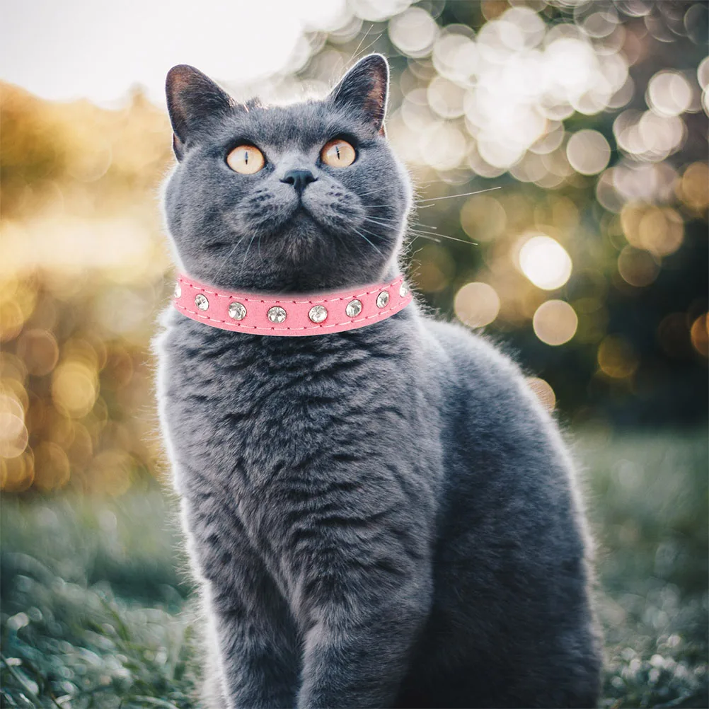 Adjustable Pet 37x1.5cm for Small Dogs Cats Stylish Decorative Puppy Collar Comfortable Reusable Safe Reliable Dog Neck Collar
Adjustable Pet 37x1.5cm for Small Dogs Cats Stylish Decorative Puppy Collar Comfortable Reusable Safe Reliable Dog Neck Collar