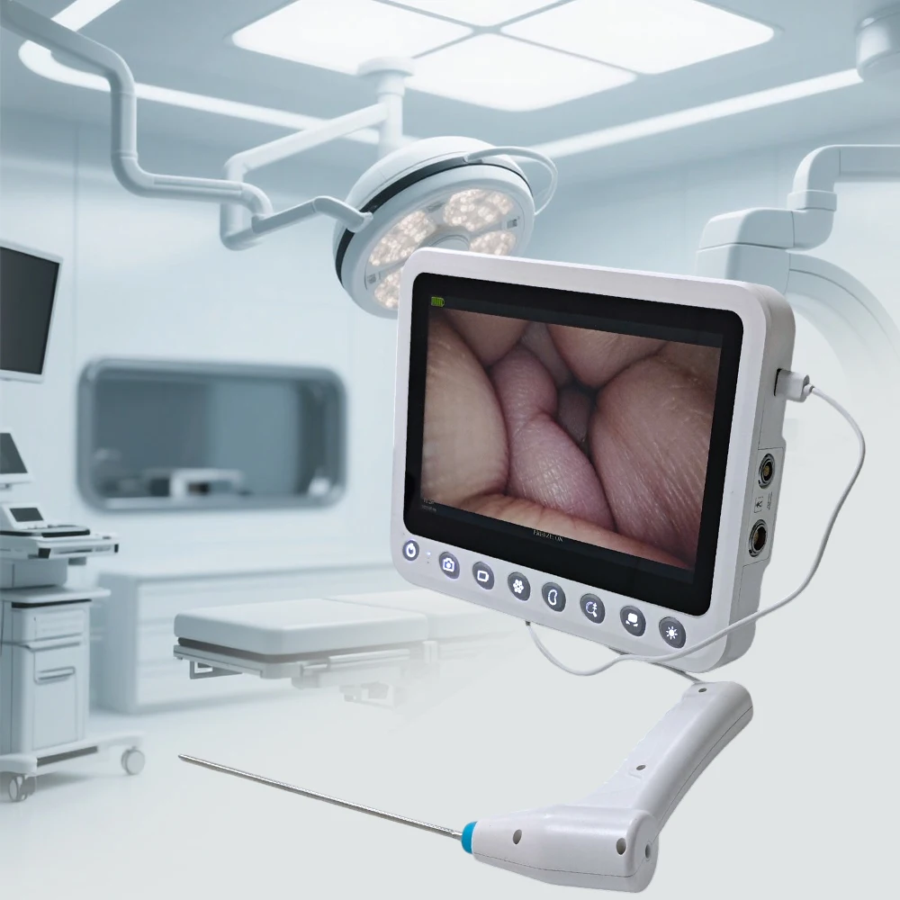 5.0mm Medical Inspection Endoscope Single Use Hysteroscope Disposable Uteroscope for Vet Market
5.0mm Medical Inspection Endoscope Single Use Hysteroscope Disposable Uteroscope for Vet Market