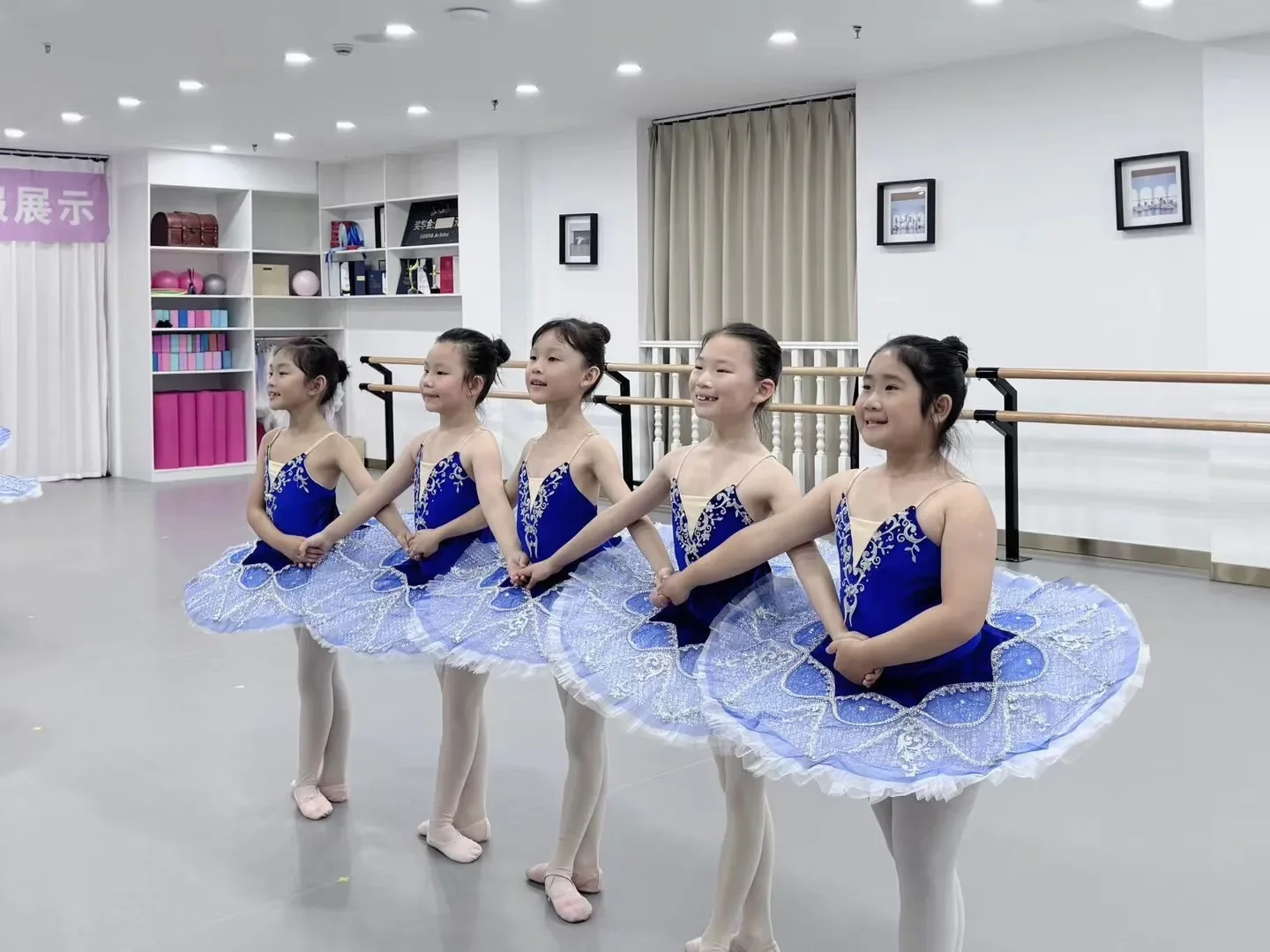 Professional Blue Sequin Ballet Skirt Tutu for Women And Girls Children's Ballerinas Performance Clothing Princess Dress
Professional Blue Sequin Ballet Skirt Tutu for Women And Girls Children's Ballerinas Performance Clothing Princess Dress