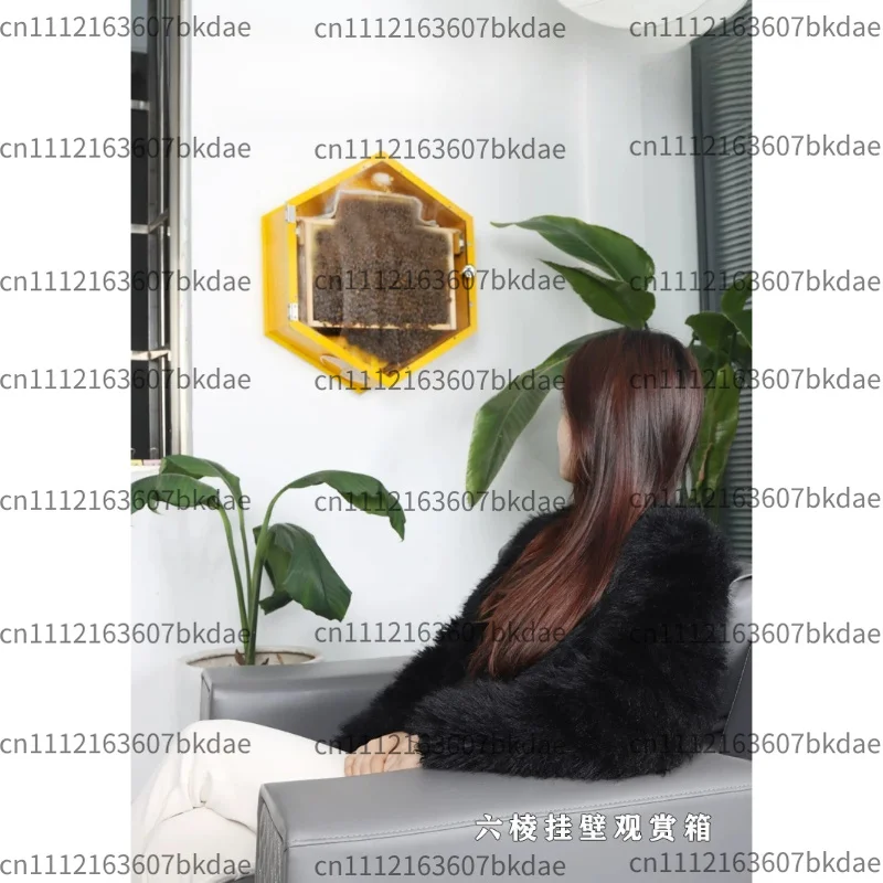 Newly upgraded indoor bee farming ornamental beehive beekeeping utensils
Newly upgraded indoor bee farming ornamental beehive beekeeping utensils
