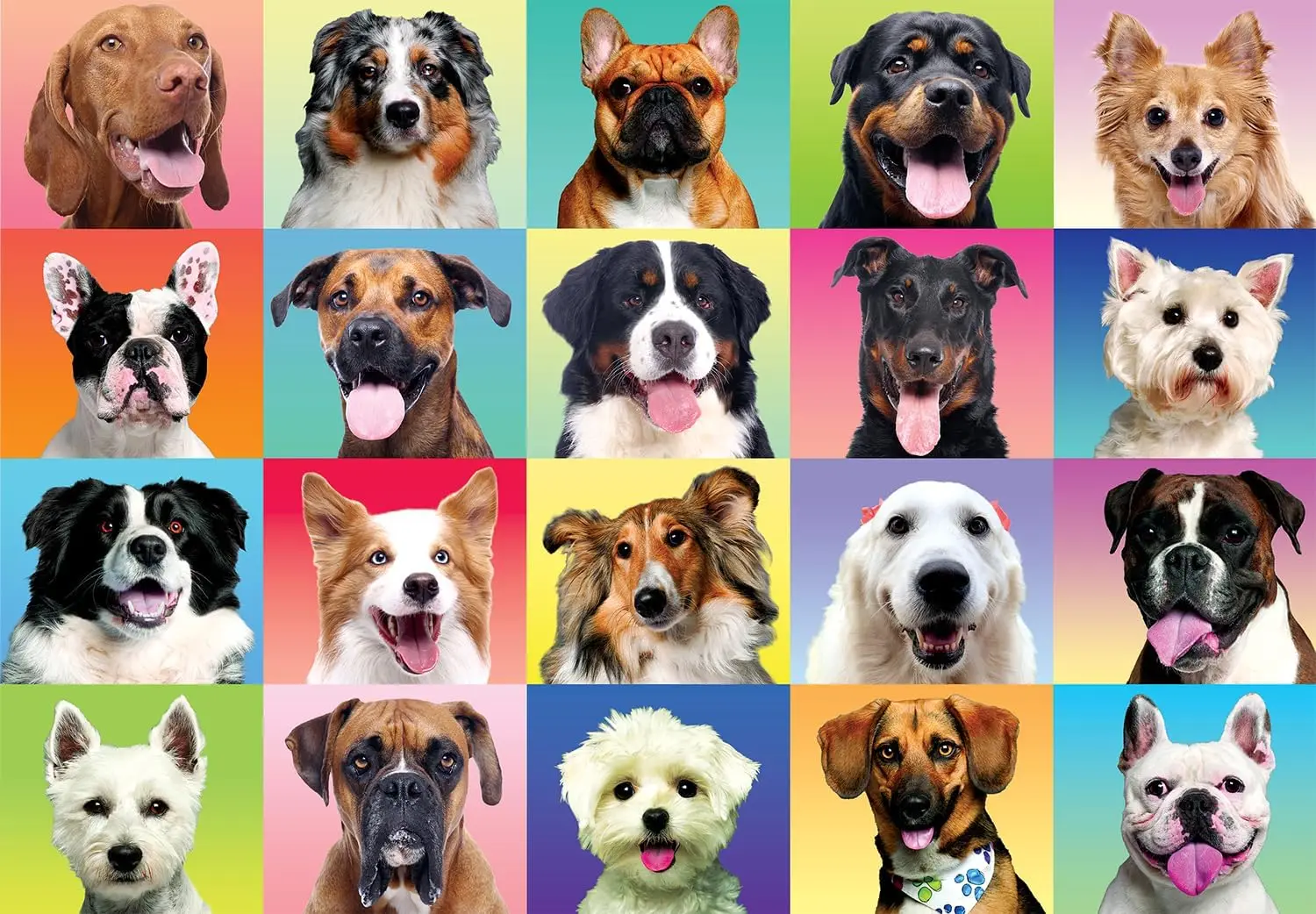 Multicolor Dogs Adult Wooden Puzzle 1000/500/300 Pieces Jigsaw Puzzles for Gameroom Bedroom Livingroom Party Birthday Gift
Multicolor Dogs Adult Wooden Puzzle 1000/500/300 Pieces Jigsaw Puzzles for Gameroom Bedroom Livingroom Party Birthday Gift