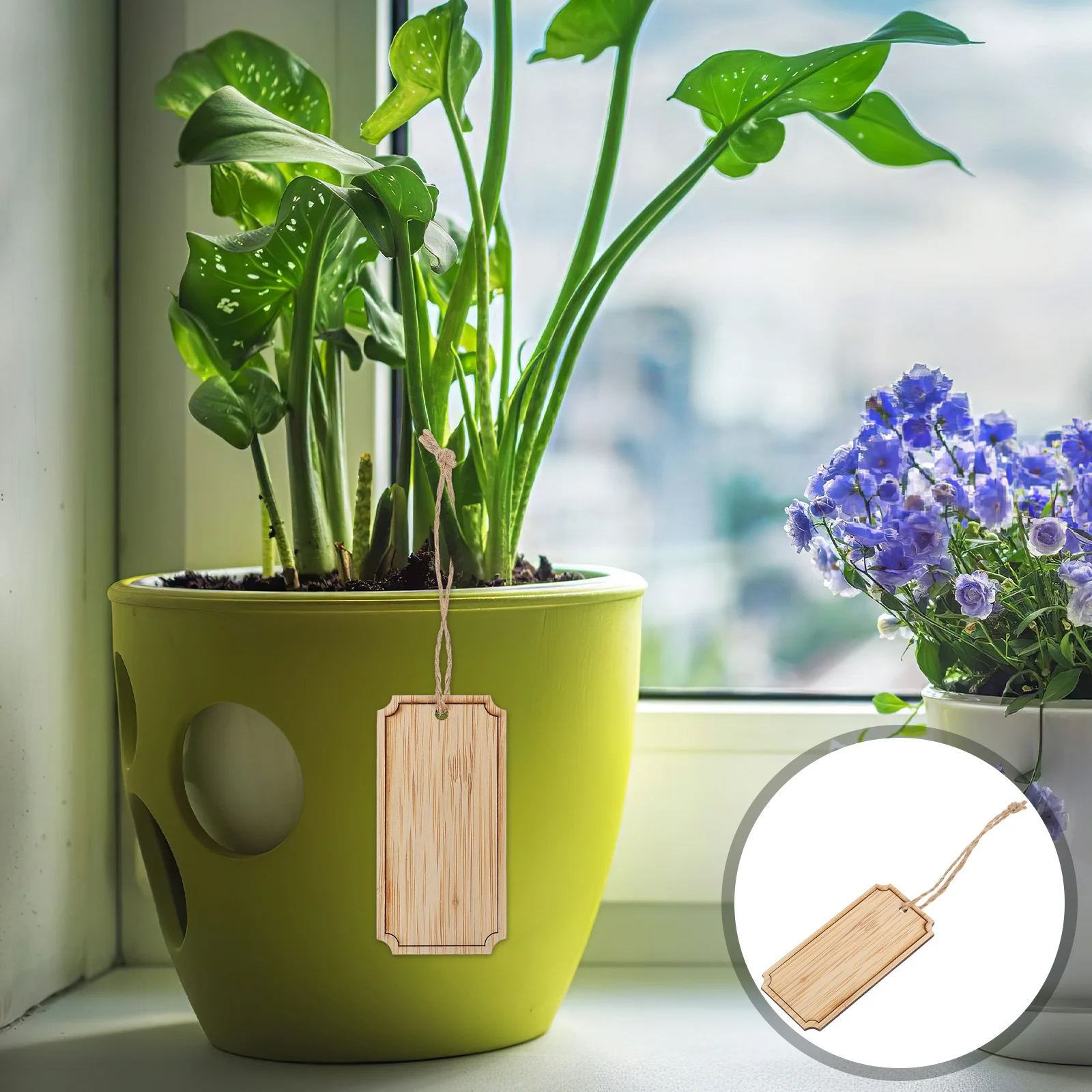 20Pcs Bamboo Hanging Plant Tags Blank Rectangle Garden Markers Decorative Reusable Outdoor Plant Labels with Rope
20Pcs Bamboo Hanging Plant Tags Blank Rectangle Garden Markers Decorative Reusable Outdoor Plant Labels with Rope