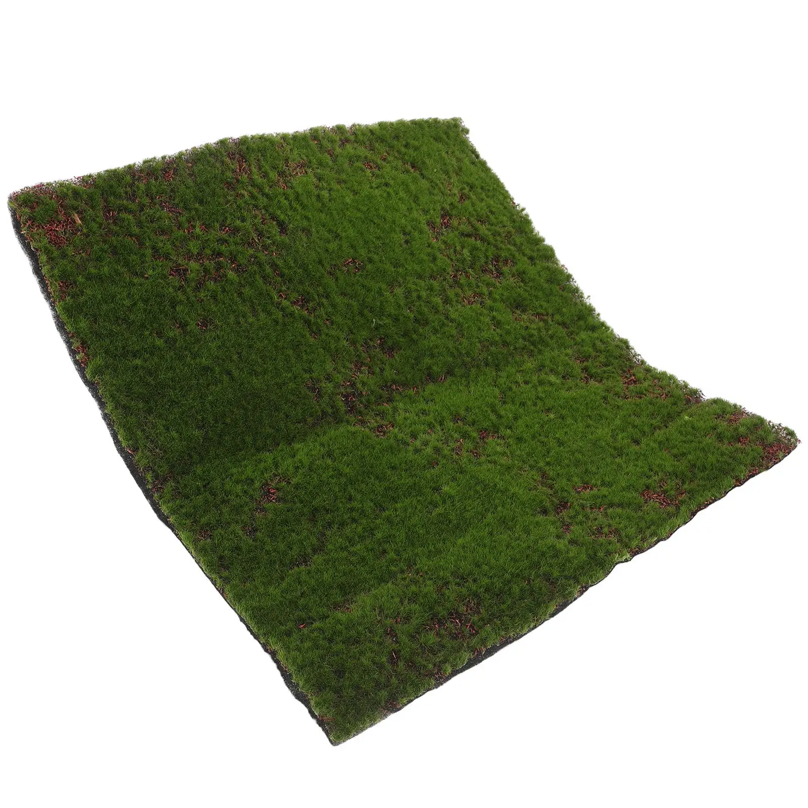 Artificial Moss Grass 30x30cm High Realism Easy Installation Safe Material Indoor Plants Decor Versatile Use Simulation Green
Artificial Moss Grass 30x30cm High Realism Easy Installation Safe Material Indoor Plants Decor Versatile Use Simulation Green