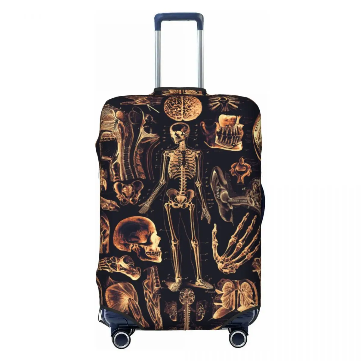 Чехол для дорожного багажа с принтом анатомии человека, моющийся чехол для чемодана, подходит для 18-32 дюймов 
Чехол для дорожного багажа с принтом анатомии человека, моющийся чехол для чемодана, подходит для 18-32 дюймов