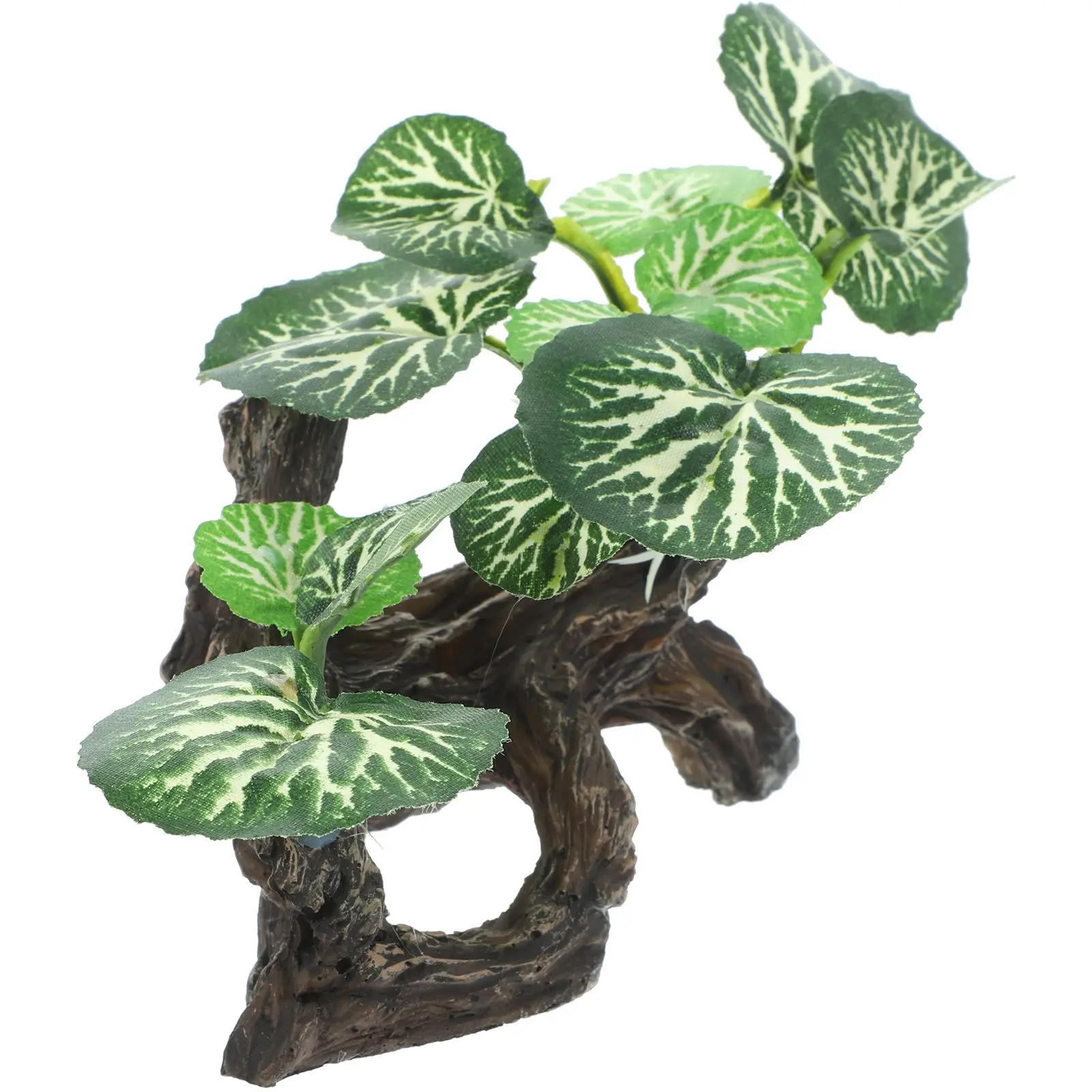 Terrarium Plant Decoration Reptile Supplies Tank Fake Aquarium Cave Green Landscaping Ornament
Terrarium Plant Decoration Reptile Supplies Tank Fake Aquarium Cave Green Landscaping Ornament