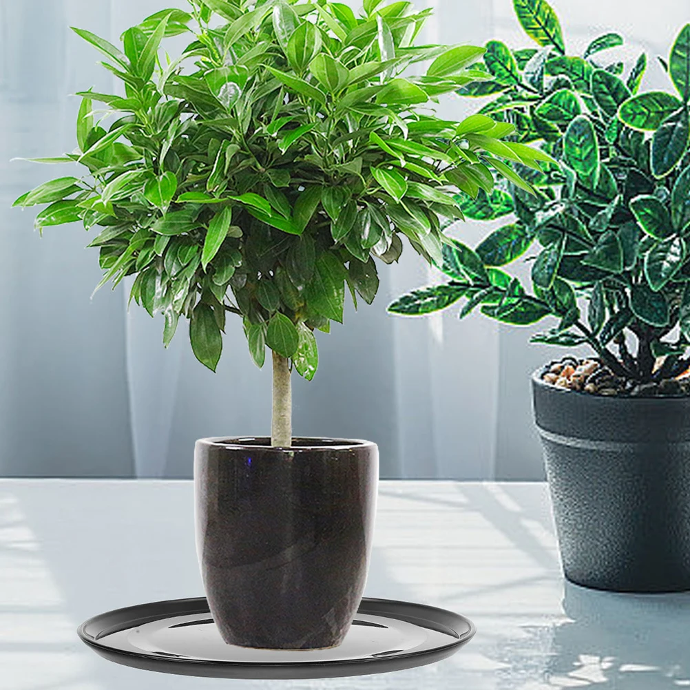 6pcs Reusable Plastic Plant Saucer Round Flowerpot Tray Drainage Water Catcher Plate For Indoor Outdoor Plants Durable Garden
6pcs Reusable Plastic Plant Saucer Round Flowerpot Tray Drainage Water Catcher Plate For Indoor Outdoor Plants Durable Garden