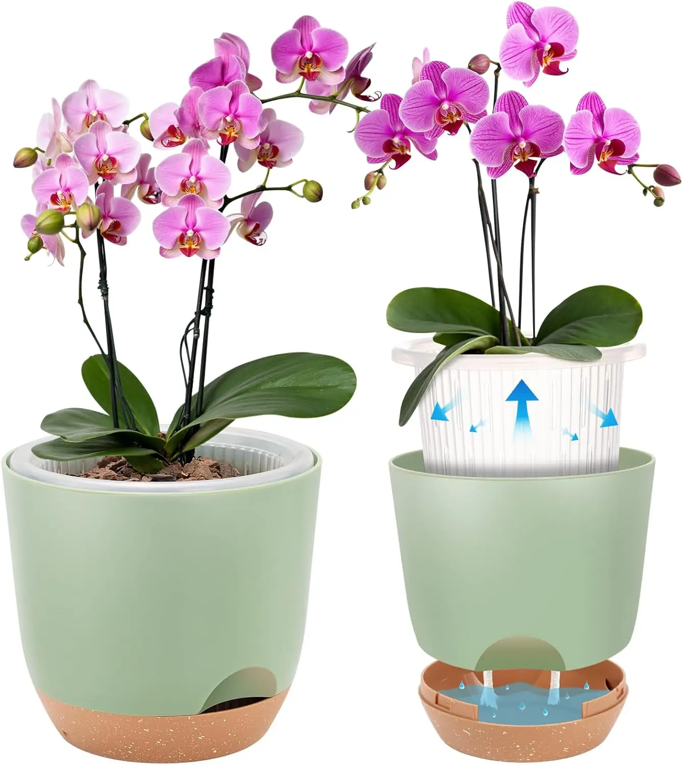 Self Watering Orchid Pots for Indoor Plants, 5.8 Inch Flower Pots with Holes, Green
Self Watering Orchid Pots for Indoor Plants, 5.8 Inch Flower Pots with Holes, Green