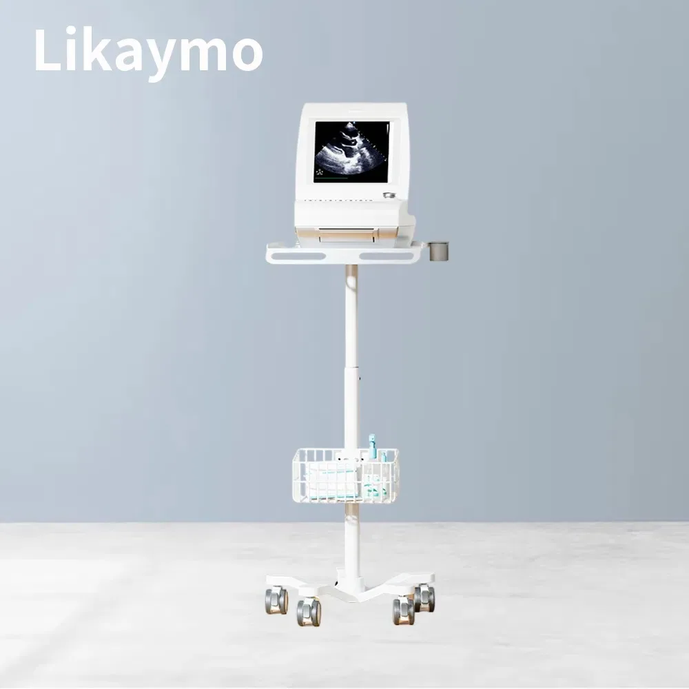 Factory-Priced Endoscope Cart with Wheels Hospital Trolley Ultrasound Cart Medical Trolley
Factory-Priced Endoscope Cart with Wheels Hospital Trolley Ultrasound Cart Medical Trolley