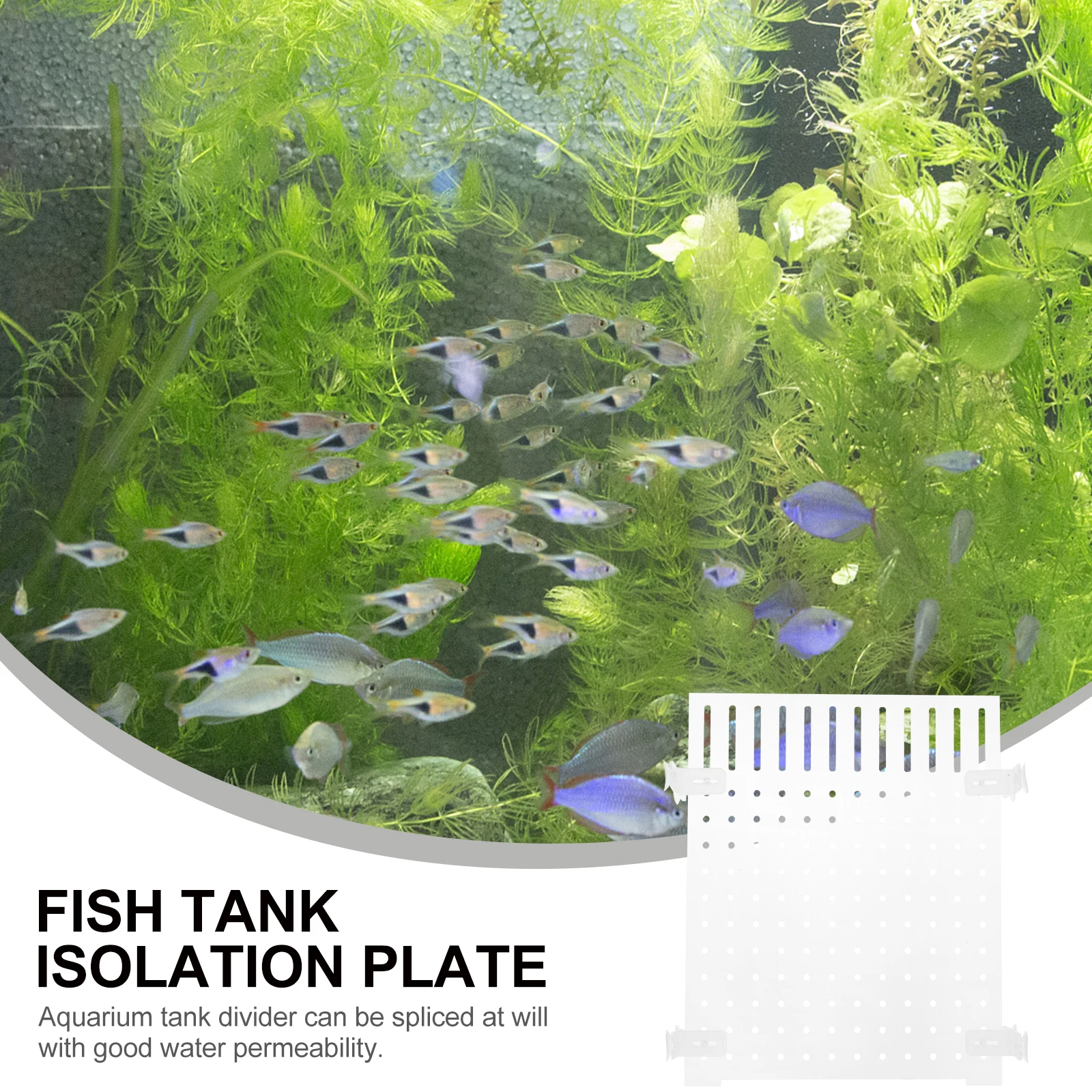 Acrylic Isolation Board 25x30cm Transparent Aquarium Divider for Fish Tank Betta Baby Separator with Suction Cups Easy
Acrylic Isolation Board 25x30cm Transparent Aquarium Divider for Fish Tank Betta Baby Separator with Suction Cups Easy