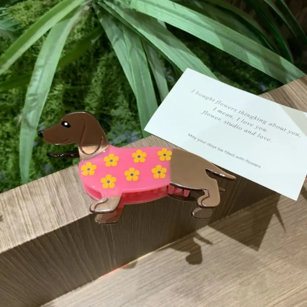 Personalized Acetic Acid Animal Acetate Hair Claw Minimalist Flower Cat Hair Clip Pet Korean Style Dog Shark Clip Daily
Personalized Acetic Acid Animal Acetate Hair Claw Minimalist Flower Cat Hair Clip Pet Korean Style Dog Shark Clip Daily