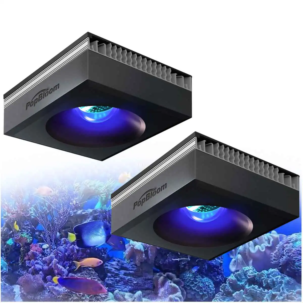 PopBloom RL90 WiFi Reef Aquarium Light 100W, Professional Marine Aquarium LED Full Spectrum for Reef Coral SPS/LPS Fish Tank LED
PopBloom RL90 WiFi Reef Aquarium Light 100W, Professional Marine Aquarium LED Full Spectrum for Reef Coral SPS/LPS Fish Tank LED
