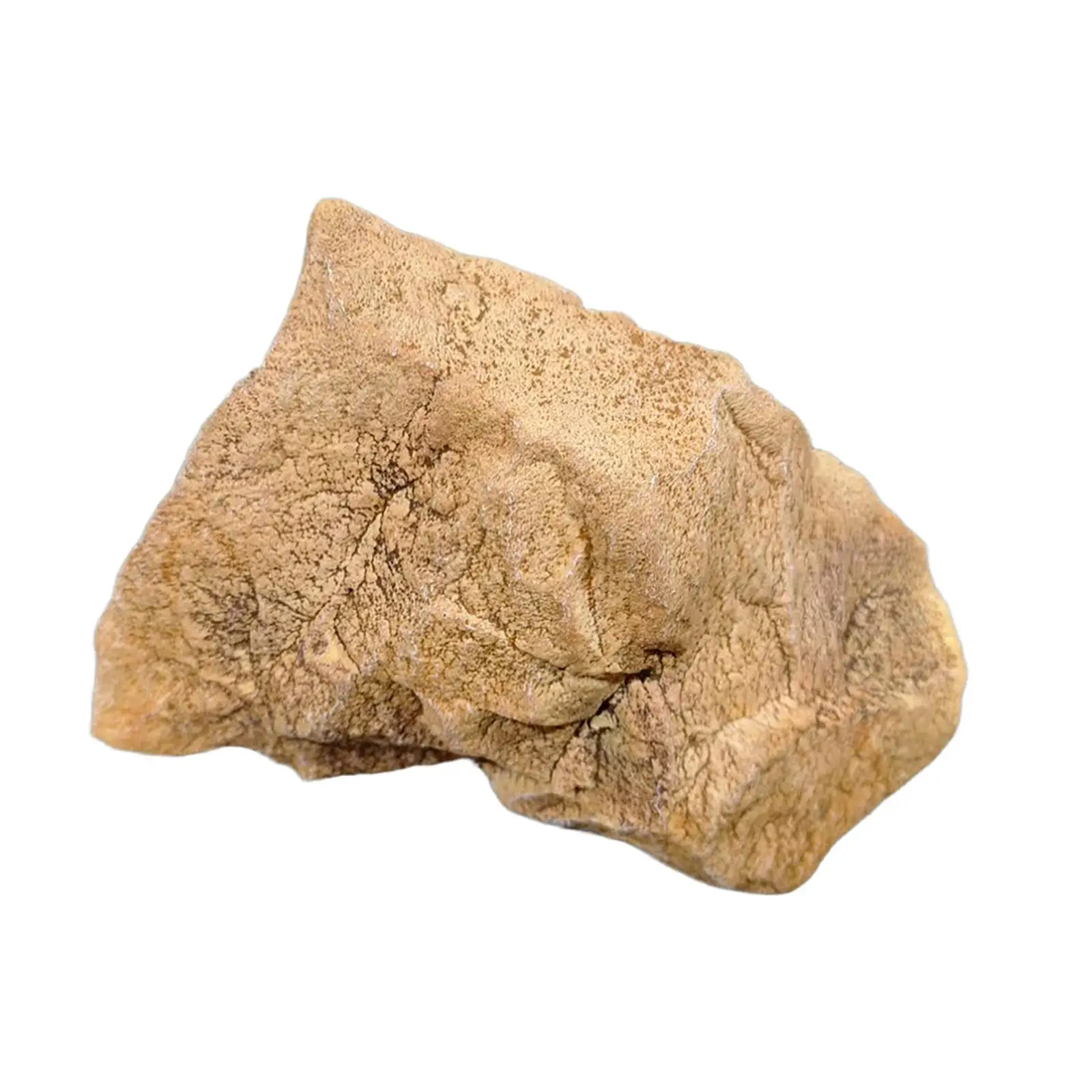 Искусственный камень, имитация камня, пенопласт, легкие декоративные диорамы, принадлежности для двора, офиса, двора, наружного сада
Искусственный камень, имитация камня, пенопласт, легкие декоративные диорамы, принадлежности для двора, офиса, двора, наружного сада