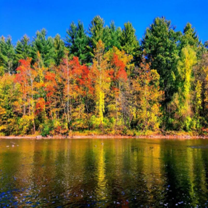 Светодиодные фары для Toyota Corolla 2018-2019: DRL, линзованные, с ближним и дальним светом, противотуманные фары, комплект фар в сборе
Светодиодные фары для Toyota Corolla 2018-2019: DRL, линзованные, с ближним и дальним светом, противотуманные фары, комплект фар в сборе