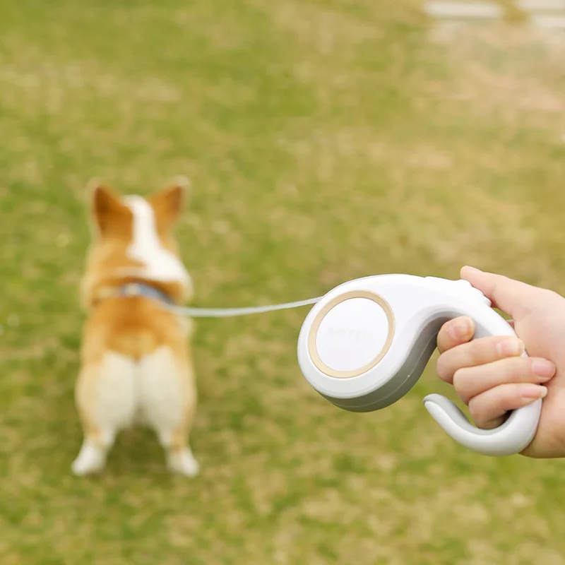 3M Retractable Dog Leash Durable Nylon Pet Walking Leash Automatic Extending Dog Lead Rope for Small Medium Pet
3M Retractable Dog Leash Durable Nylon Pet Walking Leash Automatic Extending Dog Lead Rope for Small Medium Pet