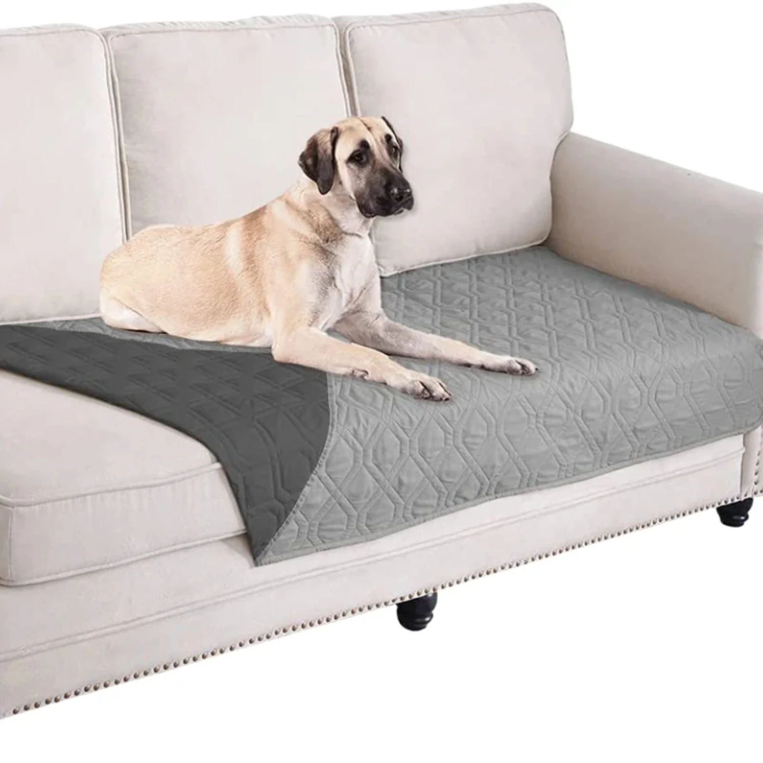New Luxurious, Waterproof, and soft pet blanket for your furniture - High-quality dog bed cover for sofa with incontinence prote
New Luxurious, Waterproof, and soft pet blanket for your furniture - High-quality dog bed cover for sofa with incontinence prote