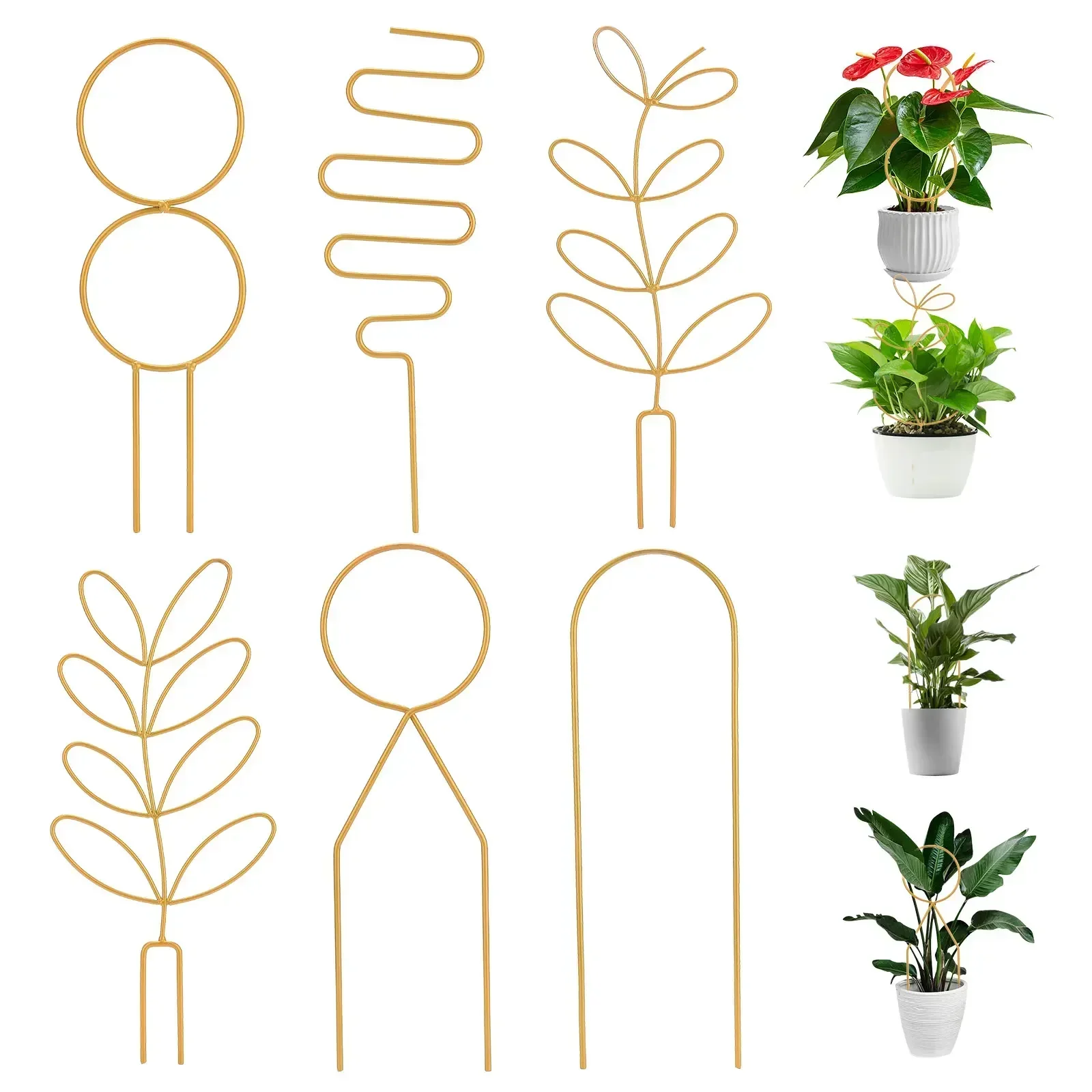 6pcs Metal Trellis Plant Support Climbing Rack Flower Decorative Frame Gardening Tools Flower Pot Vine Trellis Holder Stake
6pcs Metal Trellis Plant Support Climbing Rack Flower Decorative Frame Gardening Tools Flower Pot Vine Trellis Holder Stake