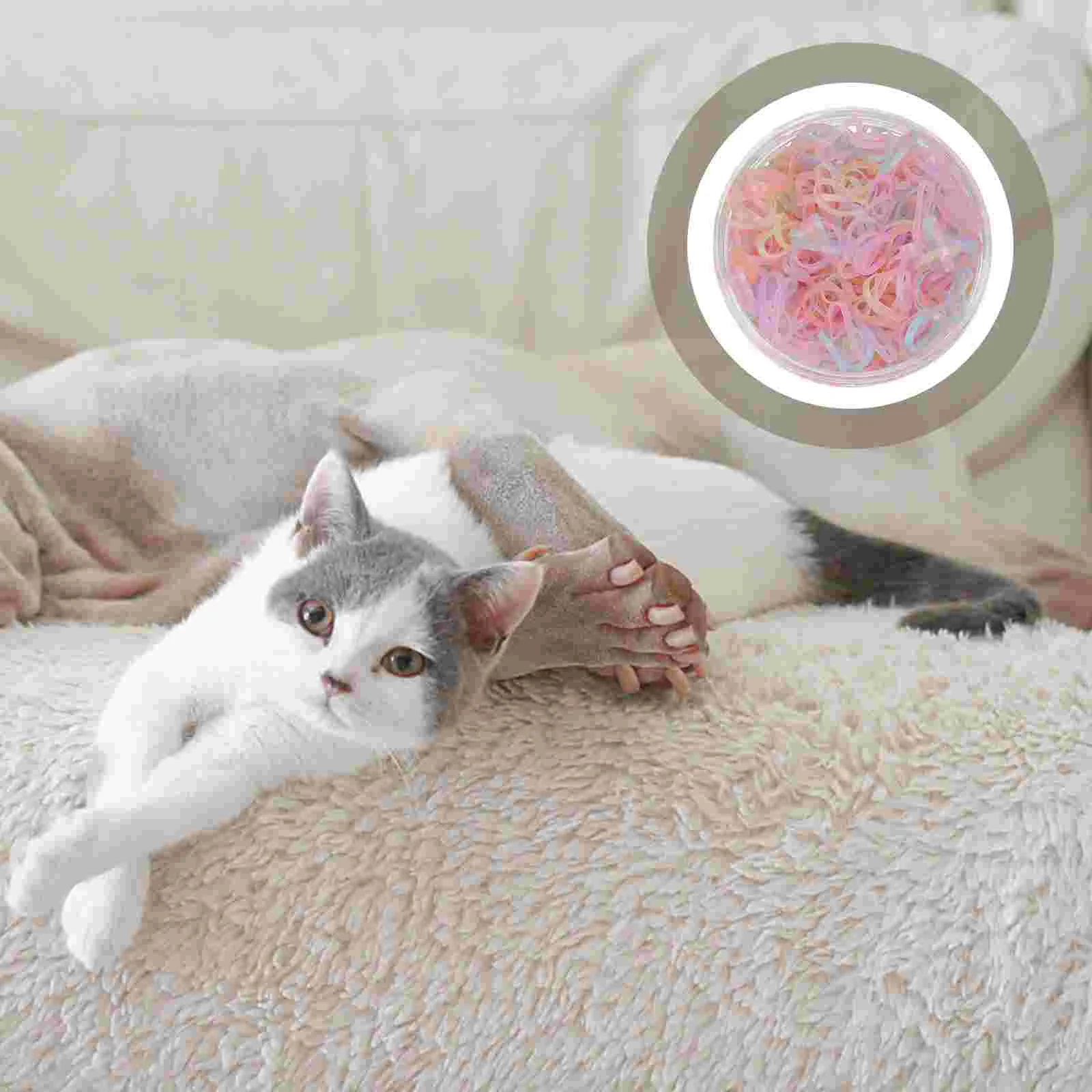 Pet Rubber Band Hair Tie Dog Ring Small Ties Elastic Bands Accessories Cat Headdress
Pet Rubber Band Hair Tie Dog Ring Small Ties Elastic Bands Accessories Cat Headdress