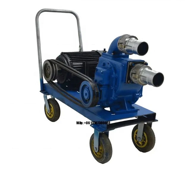 High Lift Self-Priming Sewage Sludge Pump Automatic Strong Fecal Suction Non-Clogging Feature
High Lift Self-Priming Sewage Sludge Pump Automatic Strong Fecal Suction Non-Clogging Feature
