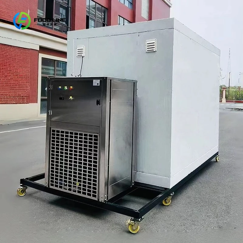 Customized All-In-One Mobile Freezer Industrial Cold Room Storage Reefer Container Farms Hotels Mobile Cold Storage
Customized All-In-One Mobile Freezer Industrial Cold Room Storage Reefer Container Farms Hotels Mobile Cold Storage