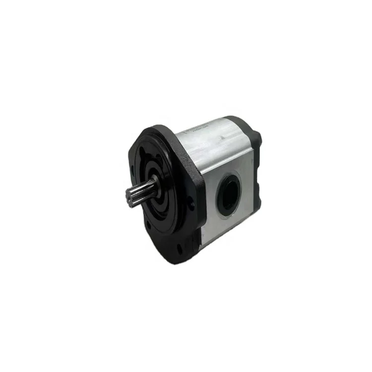 Customizable High Pressure Hydraulic Gear Pump
Customizable High Pressure Hydraulic Gear Pump