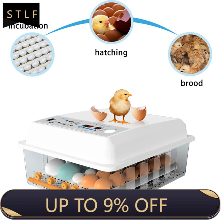 220V 12V Dual Power Mini Incubator Hatching Machine for Chicken Ostrich Duck Quail Turkey
220V 12V Dual Power Mini Incubator Hatching Machine for Chicken Ostrich Duck Quail Turkey