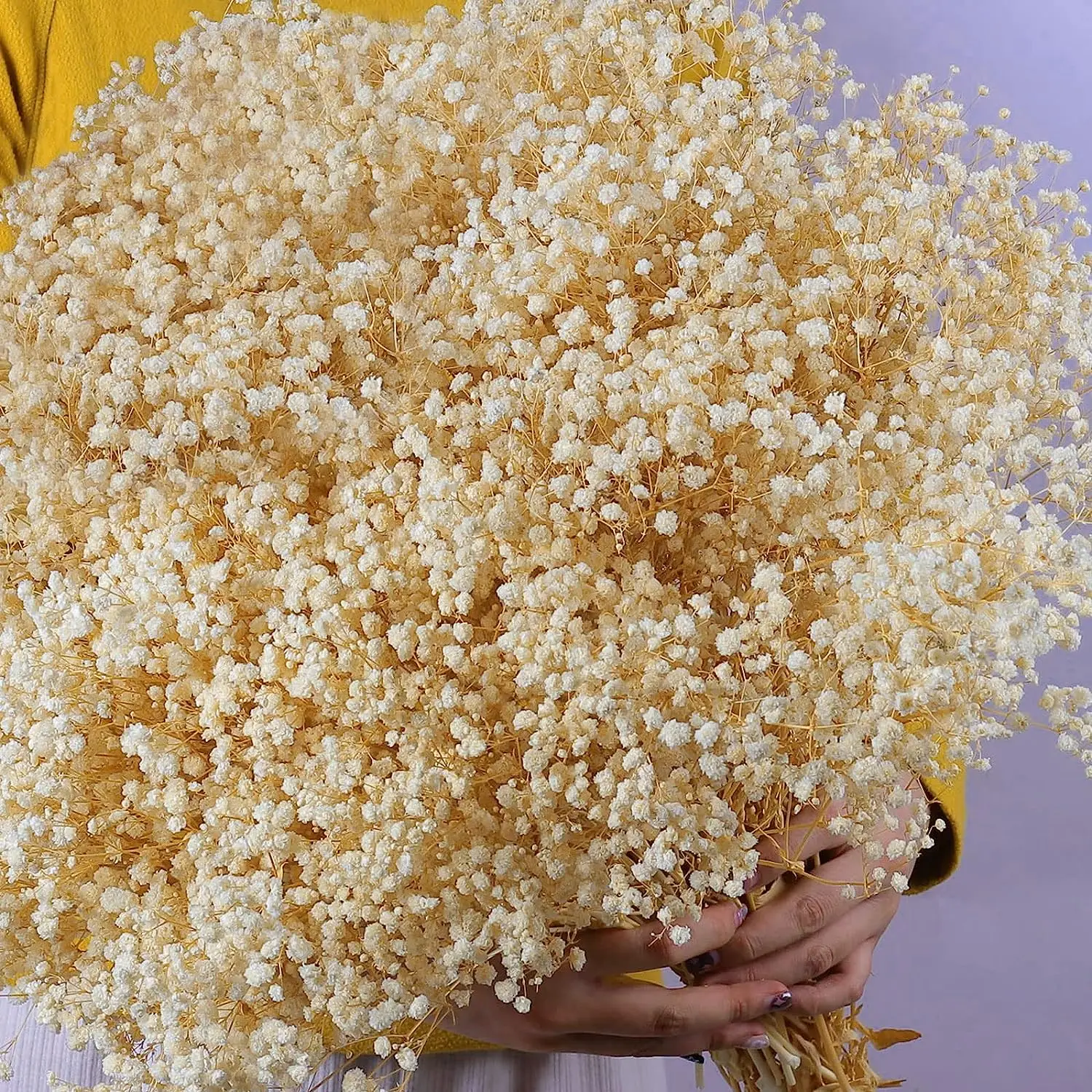 Dried Baby's Breath Flowers Bouquet Bulk Cream White Natural Gypsophila Flowers Branches Wedding Floral Arrangement Home Decor
Dried Baby's Breath Flowers Bouquet Bulk Cream White Natural Gypsophila Flowers Branches Wedding Floral Arrangement Home Decor