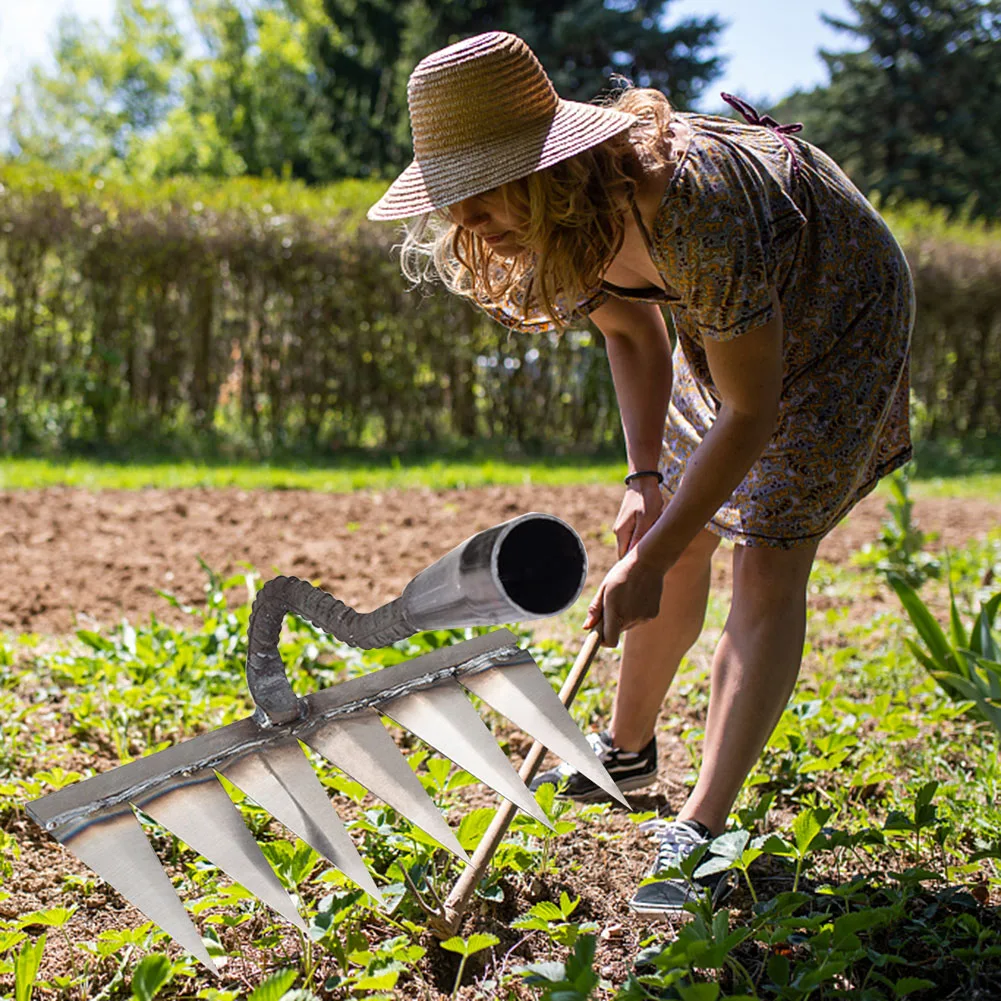 Зубные гвозди, гароны, стальные садовые ручные грабли, инструмент, острые сверхмощные грабли, садовые грабли для прополки, сельскохозяйственные инструменты
Зубные гвозди, гароны, стальные садовые ручные грабли, инструмент, острые сверхмощные грабли, садовые грабли для прополки, сельскохозяйственные инструменты