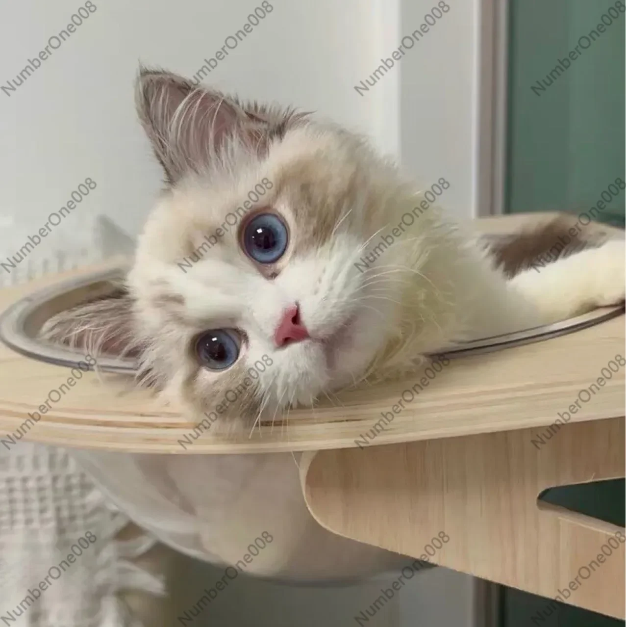 Подвесной гамак-лежанка для кошек из массива дерева на окно, капсульный домик-когтеточка на присосках, до 15 кг
Подвесной гамак-лежанка для кошек из массива дерева на окно, капсульный домик-когтеточка на присосках, до 15 кг