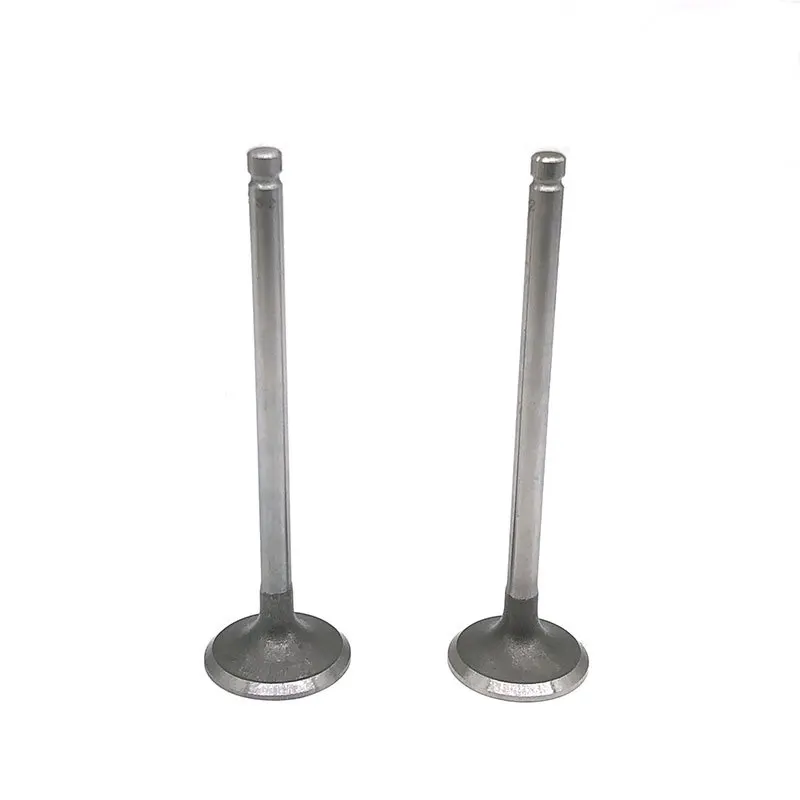 Suitable for Buick Chevrolet GM Daewoo Intake and Exhaust Valves 96440081 96440079
Suitable for Buick Chevrolet GM Daewoo Intake and Exhaust Valves 96440081 96440079