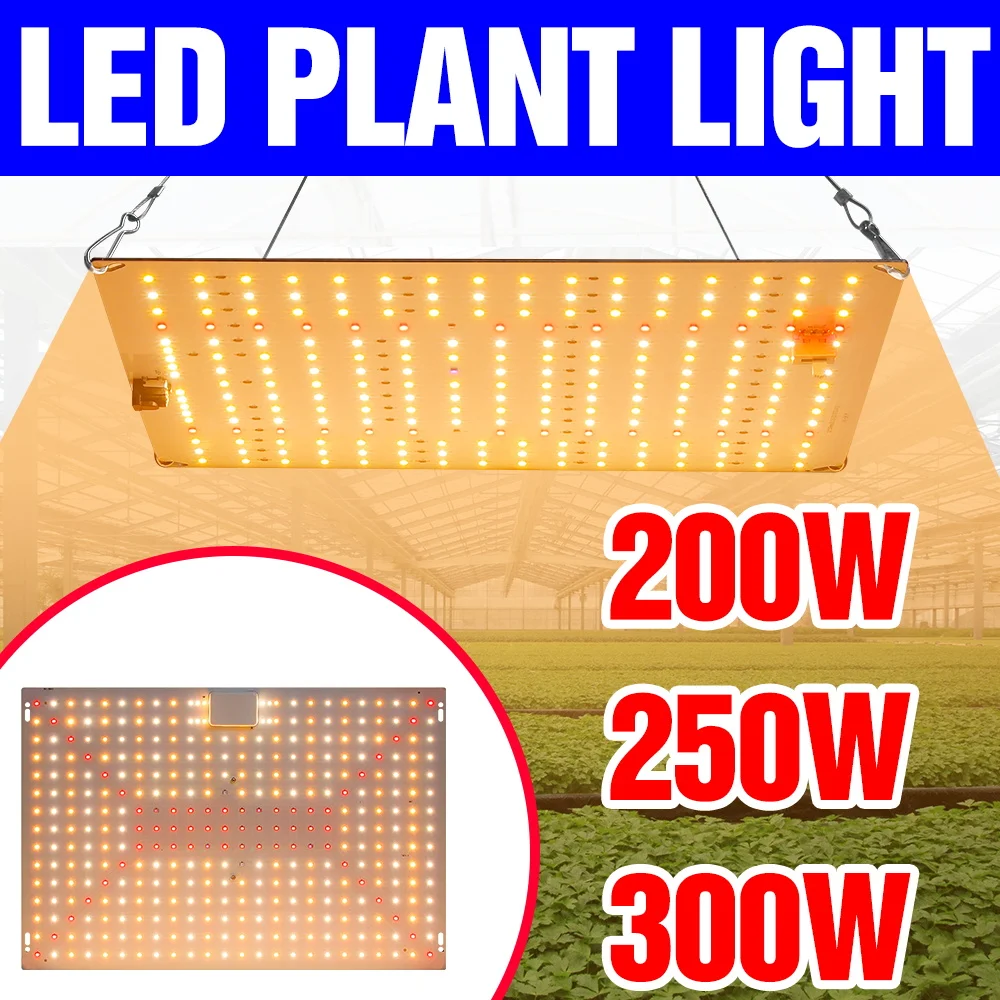300W LED Full Spectrum Grow Light 100-277V Indoor Quantum Board Plant Fill Lights Tent Vegetable Fruit Seeds Hydroponic Lighting
300W LED Full Spectrum Grow Light 100-277V Indoor Quantum Board Plant Fill Lights Tent Vegetable Fruit Seeds Hydroponic Lighting
