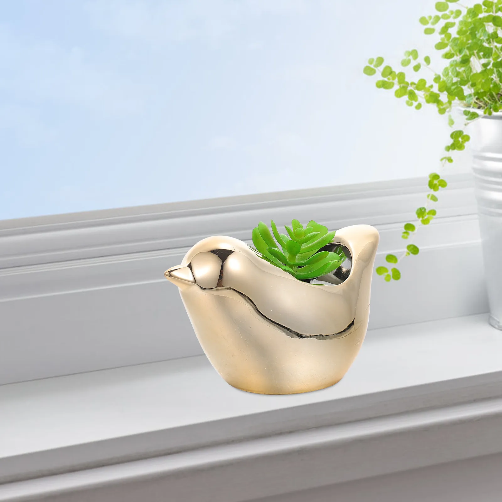 Набор из 3 керамических кашпо в виде птиц для суккулентов, для дома и улицы, для садоводства, декор для балкона
Набор из 3 керамических кашпо в виде птиц для суккулентов, для дома и улицы, для садоводства, декор для балкона