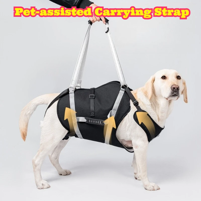 Dog Support Harness Adjustable Pet Chest Strap Medium Large Breed Mobility Auxiliary Vest Outdoor Walking Travel Injury Daily
Dog Support Harness Adjustable Pet Chest Strap Medium Large Breed Mobility Auxiliary Vest Outdoor Walking Travel Injury Daily