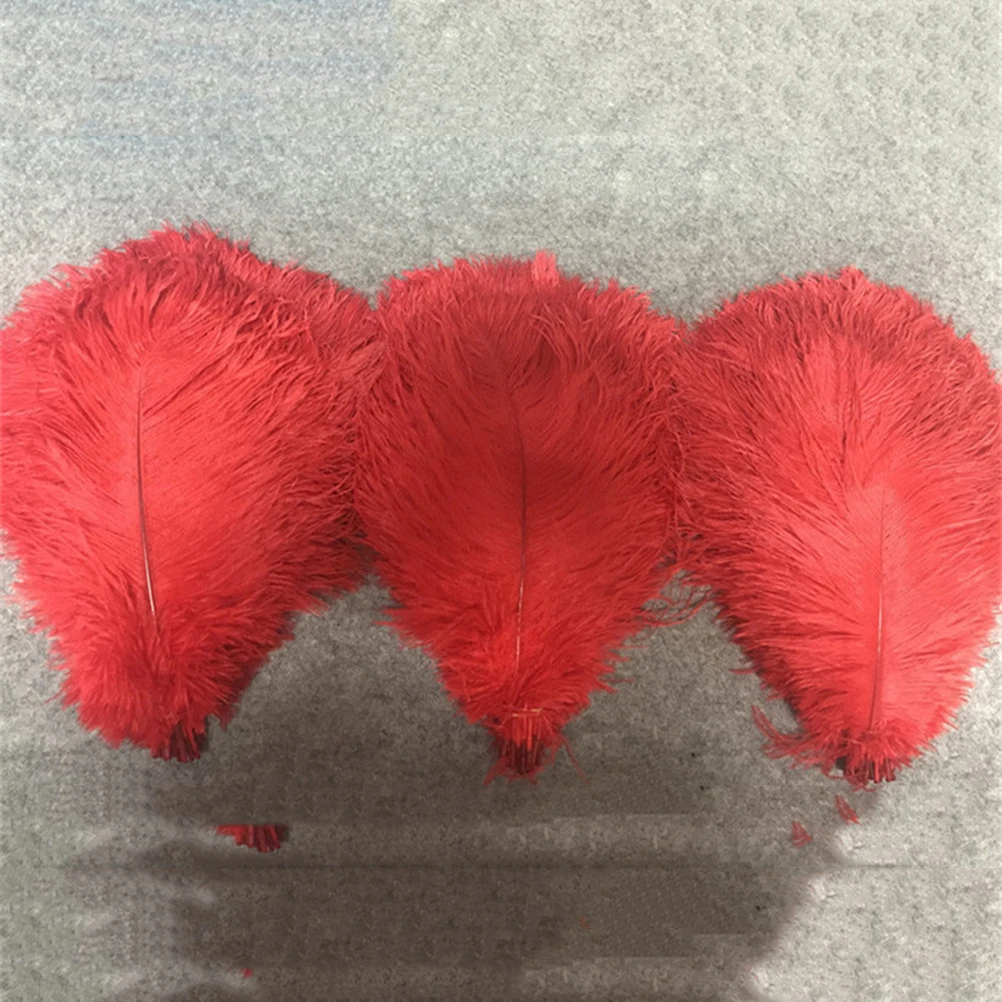 10pcs Natural Ostrich Fumigated Wedding Decorations Crafts Party Mask Trim Home Decoration Ostrich Set
10pcs Natural Ostrich Fumigated Wedding Decorations Crafts Party Mask Trim Home Decoration Ostrich Set