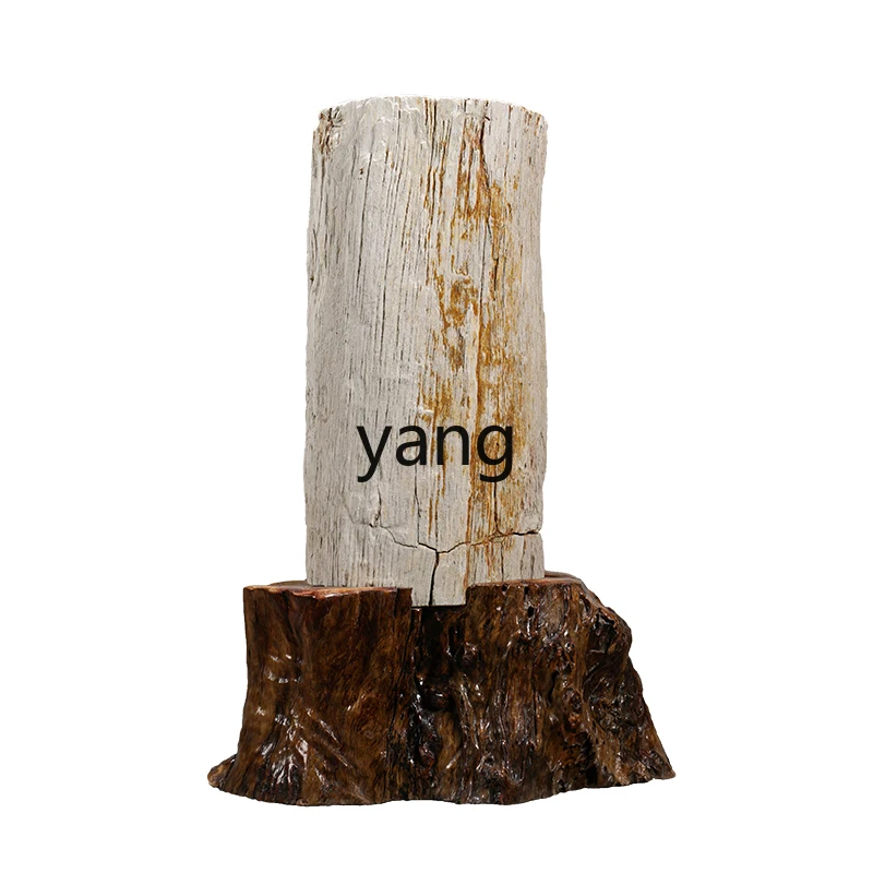 LTT natural wood fossil silicified wood collection floor ornament modern simple light luxury decoration
LTT natural wood fossil silicified wood collection floor ornament modern simple light luxury decoration