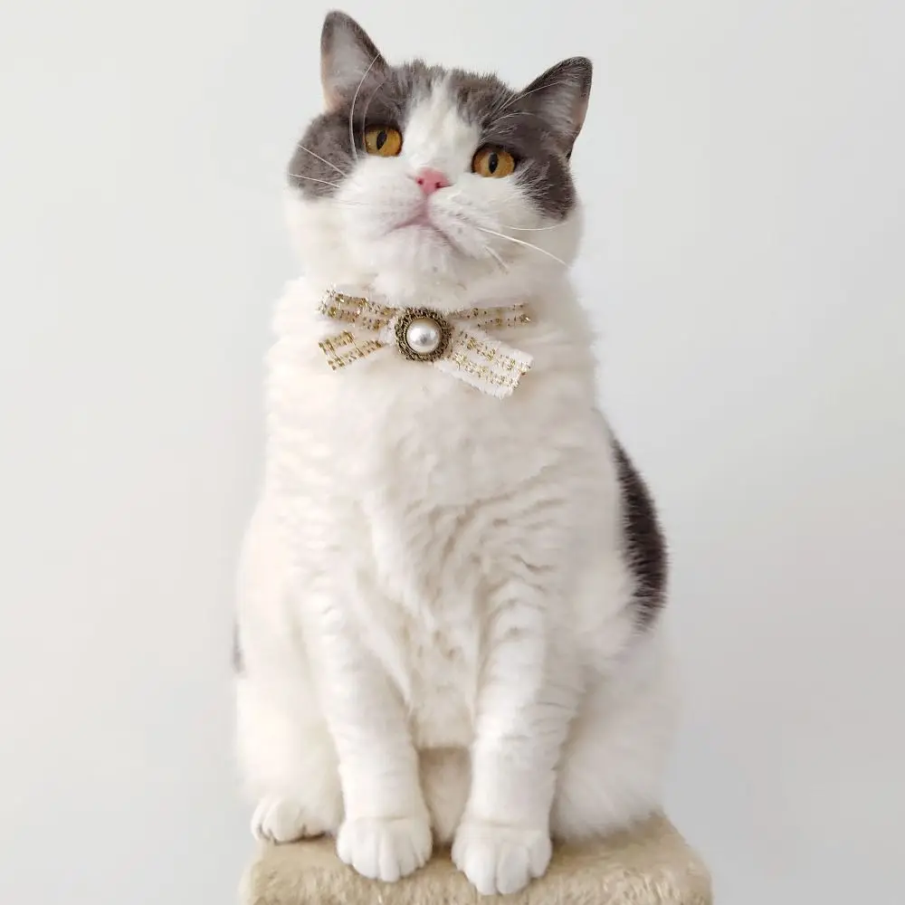 Pet Supplies Adjustable Cat Harness and Leash Set Lightweight Cute Dog Strap Collar Exquisite Soft Pet Neck Loop Walking
Pet Supplies Adjustable Cat Harness and Leash Set Lightweight Cute Dog Strap Collar Exquisite Soft Pet Neck Loop Walking