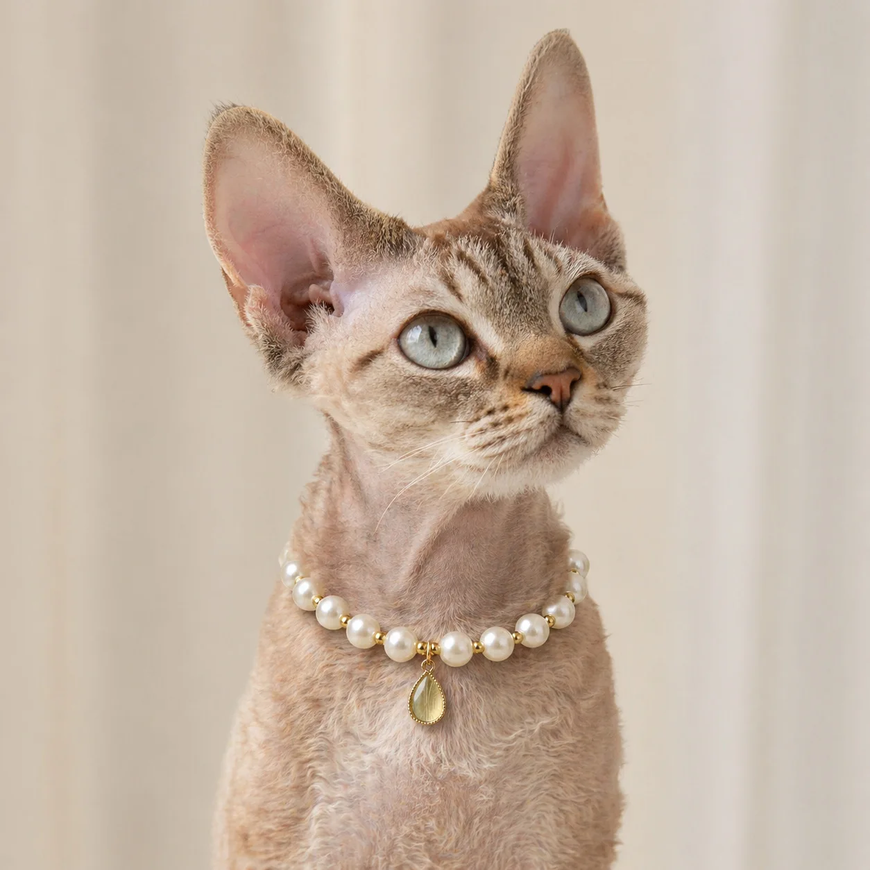 Pastel Waterdrop Gem Pet Necklace – Pearl Charm Collar for Cats and Dogs, Elegant Crystal Decorative Chain for Small Pets
Pastel Waterdrop Gem Pet Necklace – Pearl Charm Collar for Cats and Dogs, Elegant Crystal Decorative Chain for Small Pets