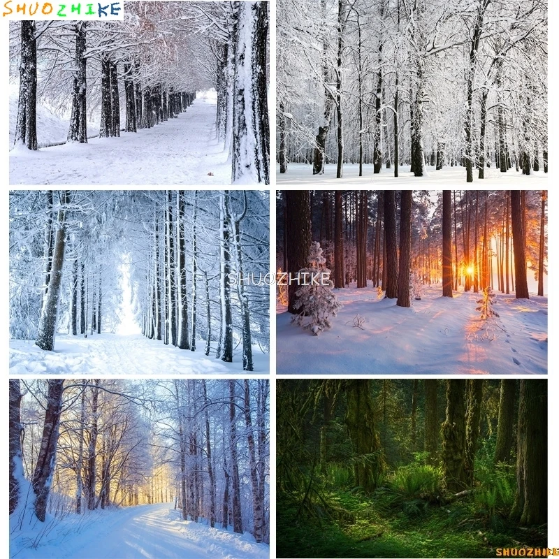 Snow Winter Forest Photography Backdrops Shrubbery Nature Scenery Ferns In Tropical Rainforest Photo Studio Background RR-01
Snow Winter Forest Photography Backdrops Shrubbery Nature Scenery Ferns In Tropical Rainforest Photo Studio Background RR-01