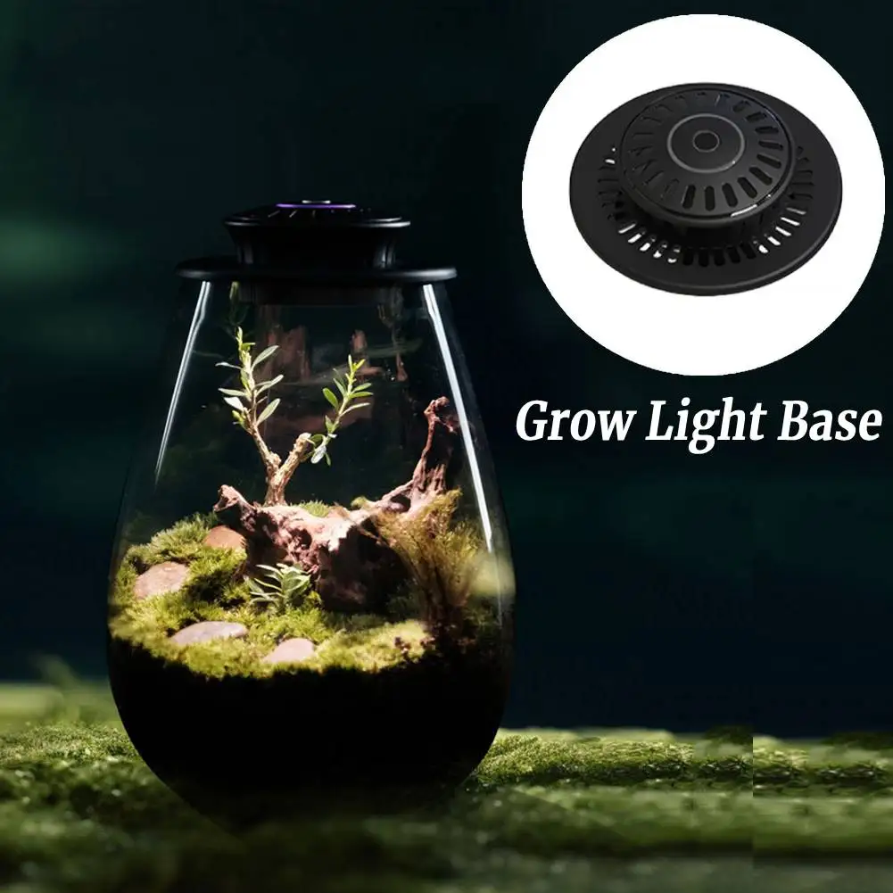 Fern Moss Micro-Landscape Grow Light with Timer LED Full Spectrum Growing Lamp 6500K for Indoor Plants Succulents Mini Bonsai
Fern Moss Micro-Landscape Grow Light with Timer LED Full Spectrum Growing Lamp 6500K for Indoor Plants Succulents Mini Bonsai