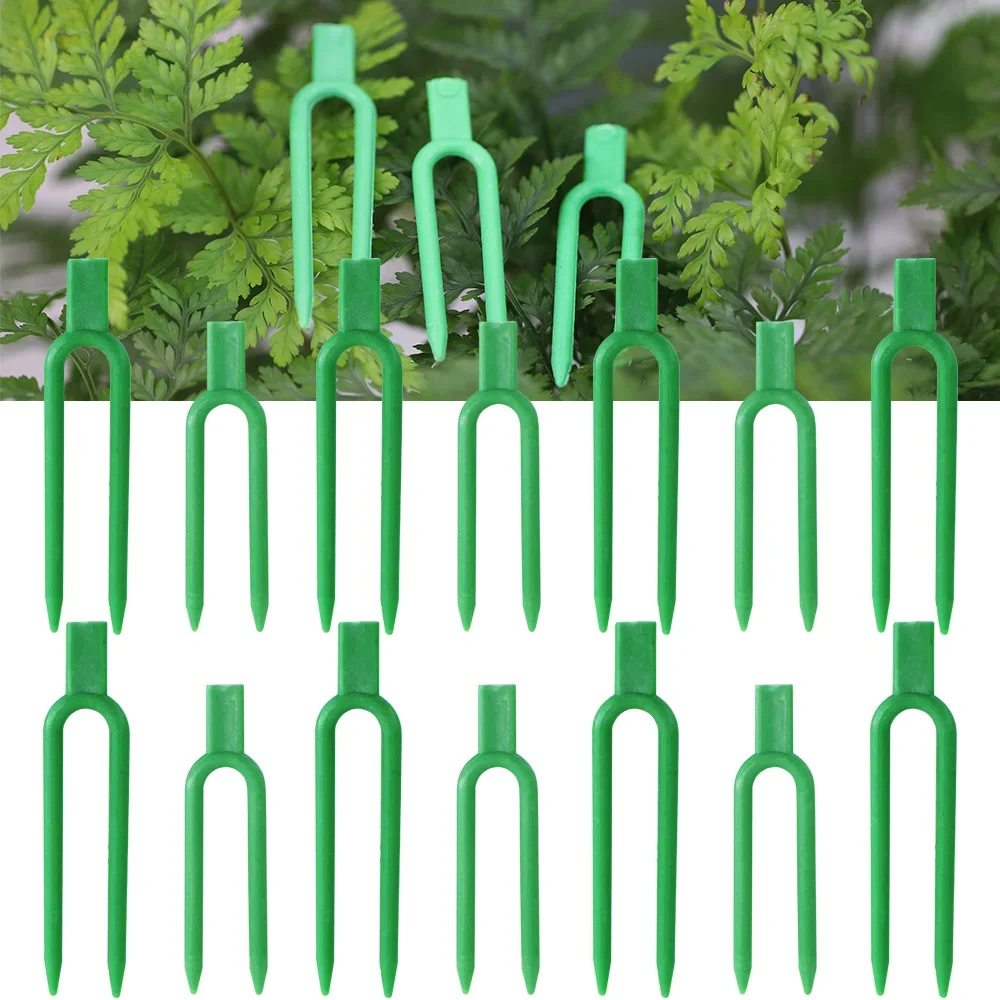 50PCS Strawberry Garden Plants Fastening Fixture Clamp Clips Planting Fork Green Stolon Fixator Watermelon Vine Pressing Tool
50PCS Strawberry Garden Plants Fastening Fixture Clamp Clips Planting Fork Green Stolon Fixator Watermelon Vine Pressing Tool