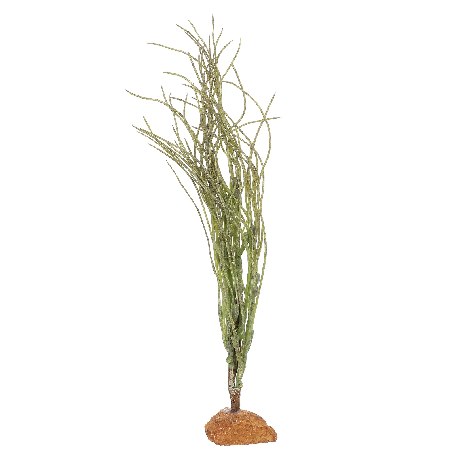 Reptile Tank Plants Artificial Realistic Decorative Leaves Ideal for Snake Gecko Bearded Dragon Lizard Turtle Habitat Terrarium
Reptile Tank Plants Artificial Realistic Decorative Leaves Ideal for Snake Gecko Bearded Dragon Lizard Turtle Habitat Terrarium