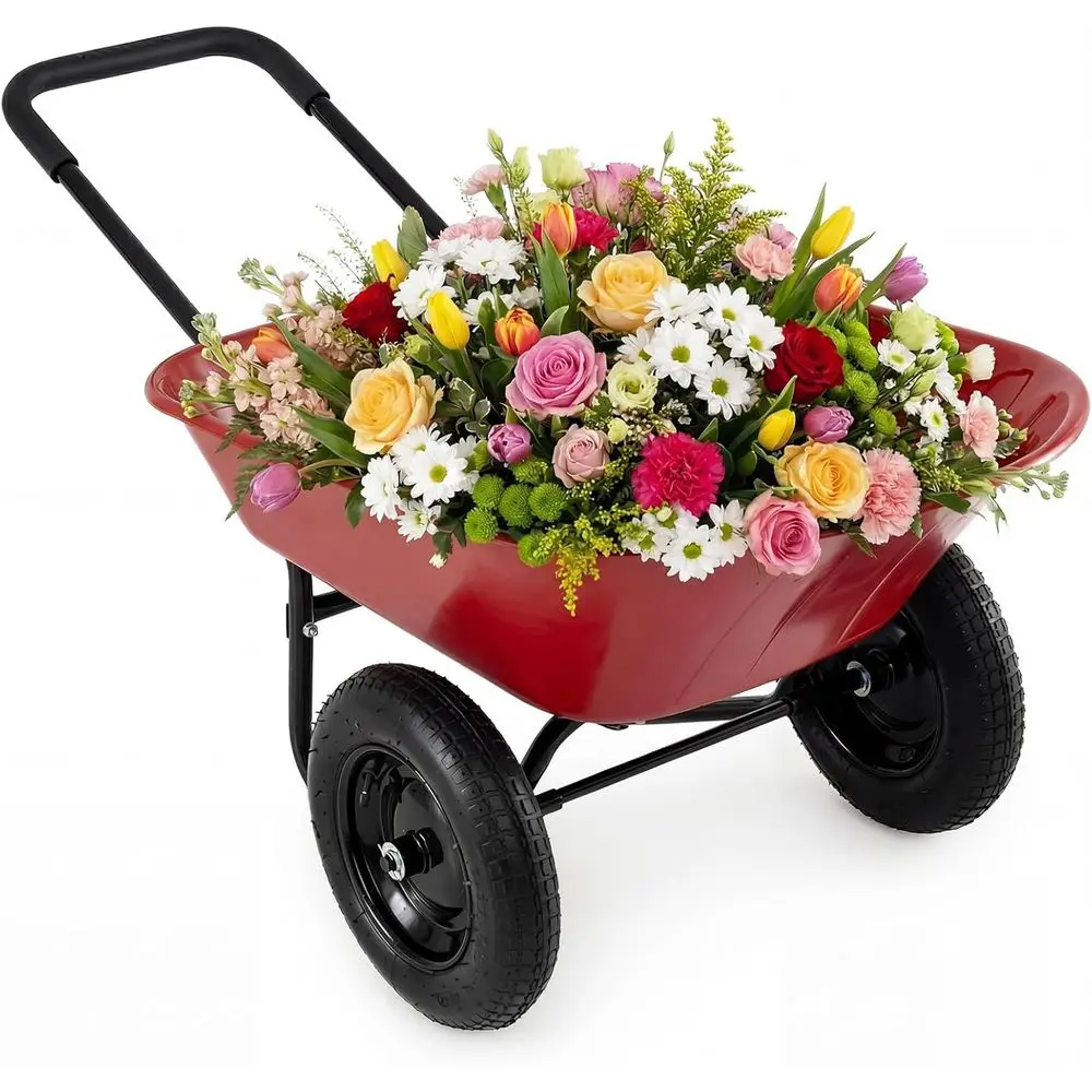 Heavy-Duty Dual-Wheel Garden Cart for Easy Loading, Dumping, and Planting in Yards and Gardens (Red)
Heavy-Duty Dual-Wheel Garden Cart for Easy Loading, Dumping, and Planting in Yards and Gardens (Red)