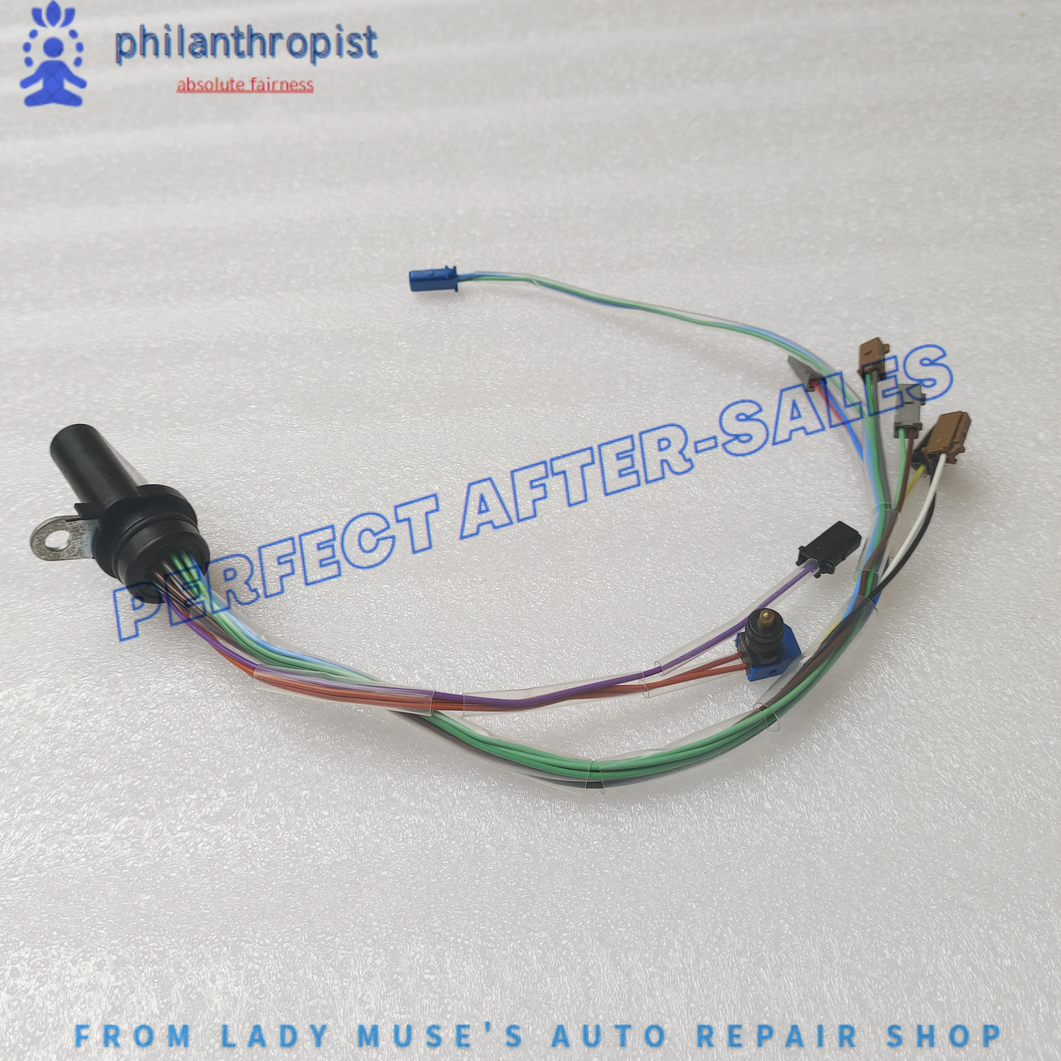 14-контактный жгут трансмиссии 09G 927 363F 09G927363F для VW Passat, Golf, Skoda Octavia, Seat, Jetta, Polo, Fabia
14-контактный жгут трансмиссии 09G 927 363F 09G927363F для VW Passat, Golf, Skoda Octavia, Seat, Jetta, Polo, Fabia