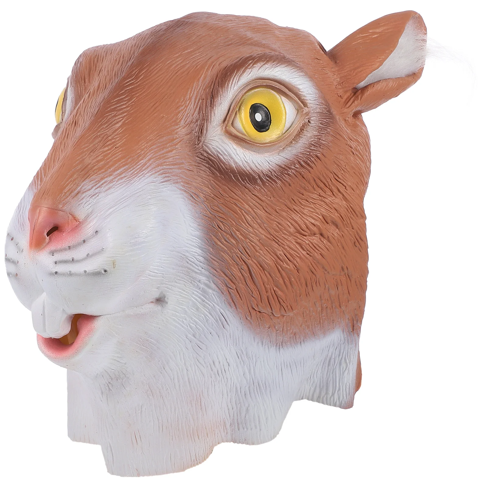 Halloween Squirrel Latex Animal Face for Party Carnival Cosplay Costume Wedding Nightclub Prom Event Scary Mask Frighten 
Halloween Squirrel Latex Animal Face for Party Carnival Cosplay Costume Wedding Nightclub Prom Event Scary Mask Frighten