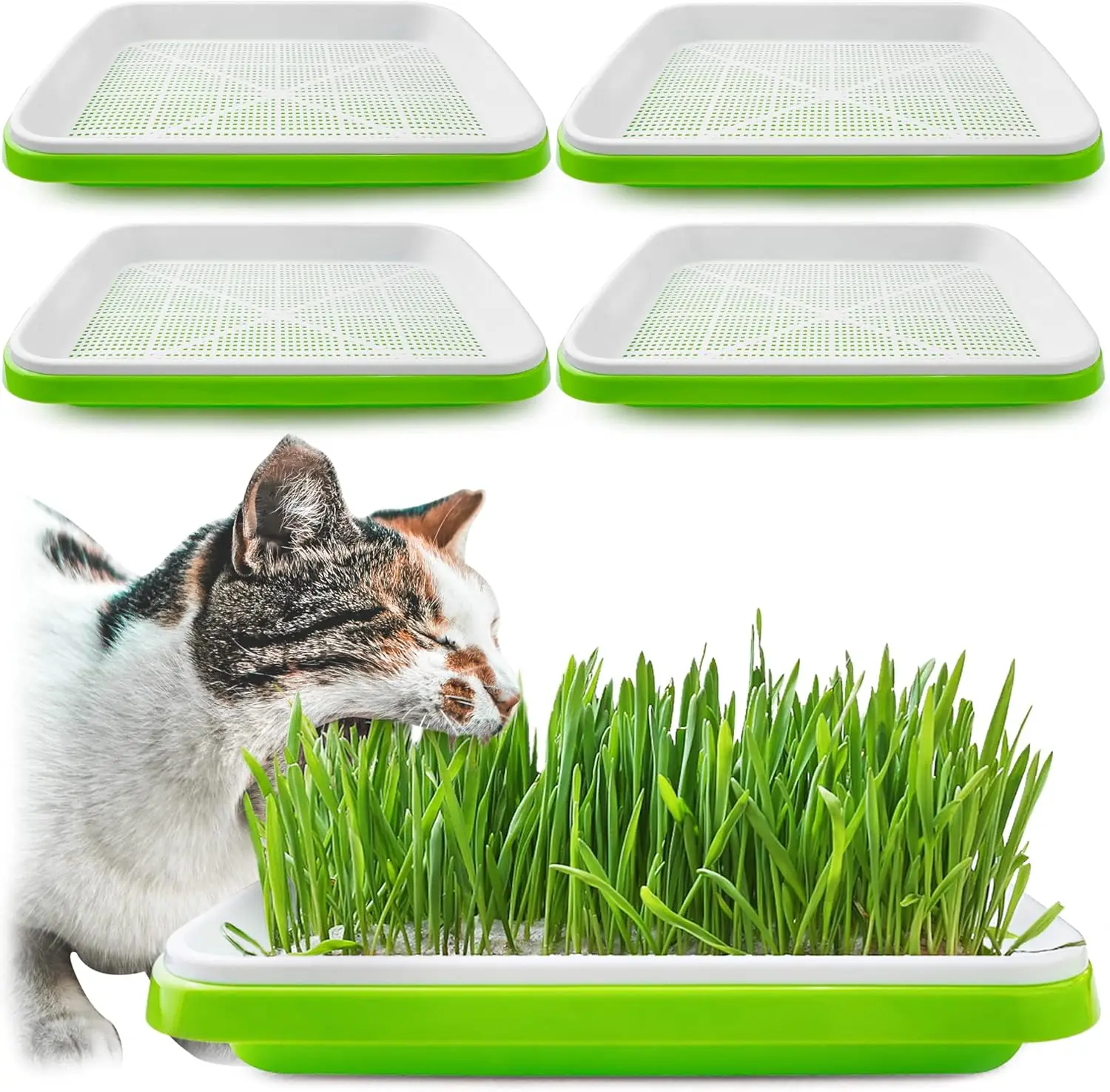4-Pack Seed Sprouter Tray with Drain Holes, BPA-Free, Soil-Free Germination Kit for Healthy Wheatgrass & Microgreens
4-Pack Seed Sprouter Tray with Drain Holes, BPA-Free, Soil-Free Germination Kit for Healthy Wheatgrass & Microgreens