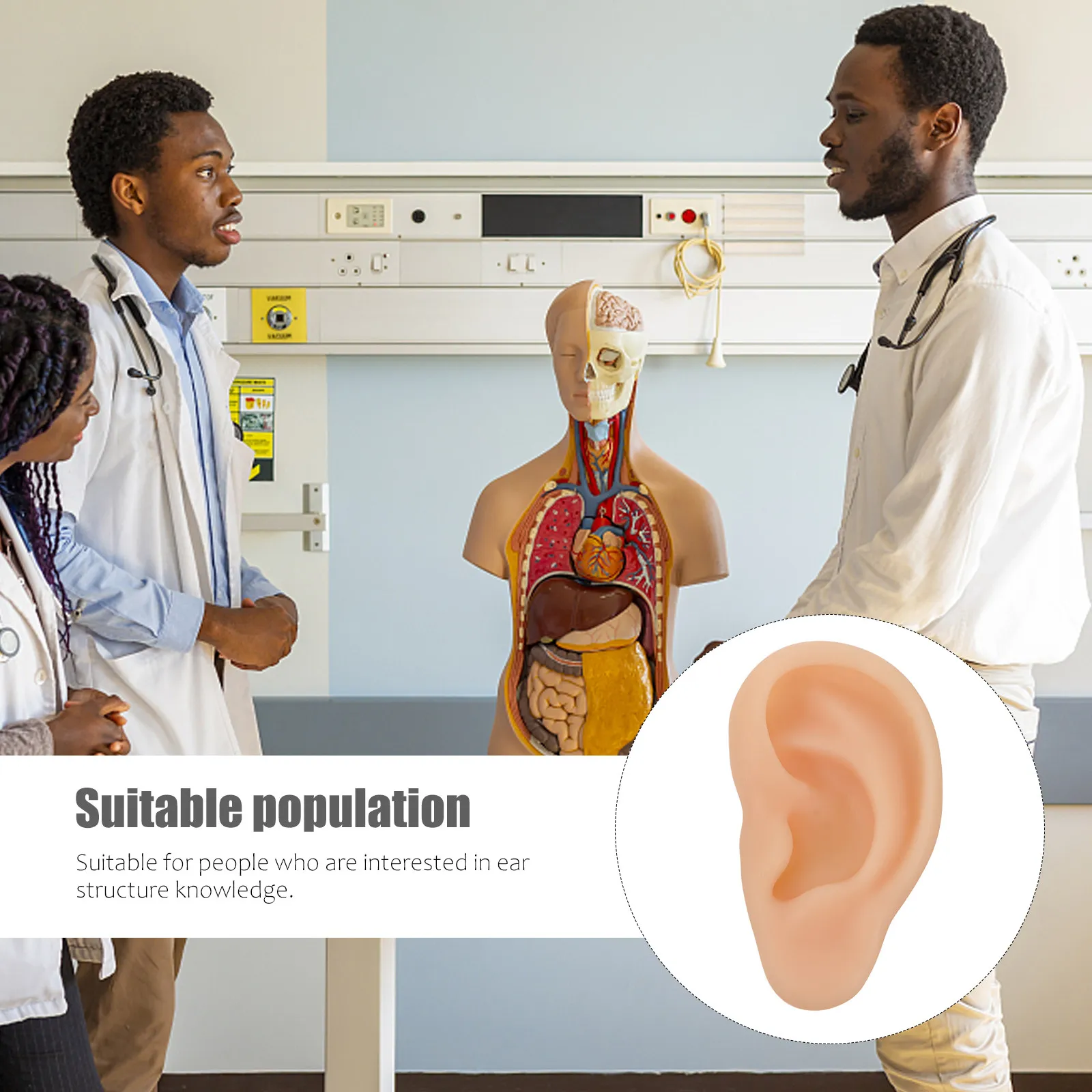 1Pcs Silicone Ear Simulation Teaching Aid Ear Presentation for Doctor Nurse Student Practice Silicone Teaching
1Pcs Silicone Ear Simulation Teaching Aid Ear Presentation for Doctor Nurse Student Practice Silicone Teaching
