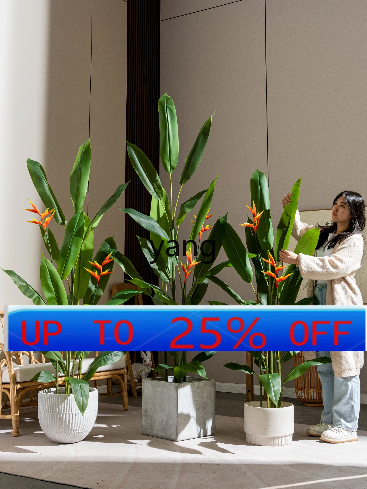LMMSimulation Green Plant Indoor Bird of Paradise Plant Pot Bionic Slightly Luxury Decoration Ornaments
LMMSimulation Green Plant Indoor Bird of Paradise Plant Pot Bionic Slightly Luxury Decoration Ornaments