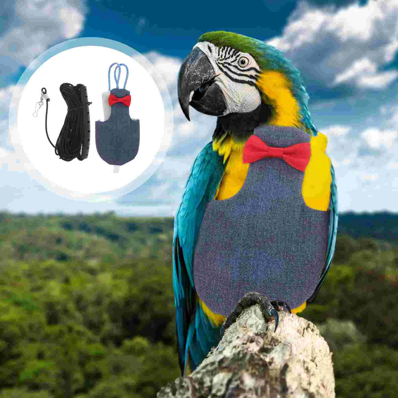 Parrot Flight Suit Pet Nappy Parakeet Cockatiel Small Bird Budgie Cotton Costume
Parrot Flight Suit Pet Nappy Parakeet Cockatiel Small Bird Budgie Cotton Costume