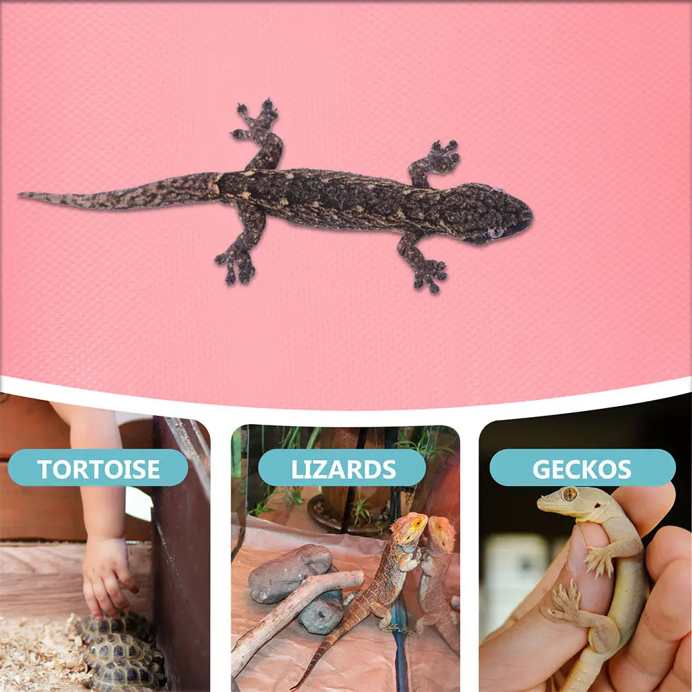 Reptile Substrate Carpet Eva Soft Washable Non Slip Mat for Terrarium Liner Bearded Dragon Snake Lizard Tortoise Gecko Tank
Reptile Substrate Carpet Eva Soft Washable Non Slip Mat for Terrarium Liner Bearded Dragon Snake Lizard Tortoise Gecko Tank